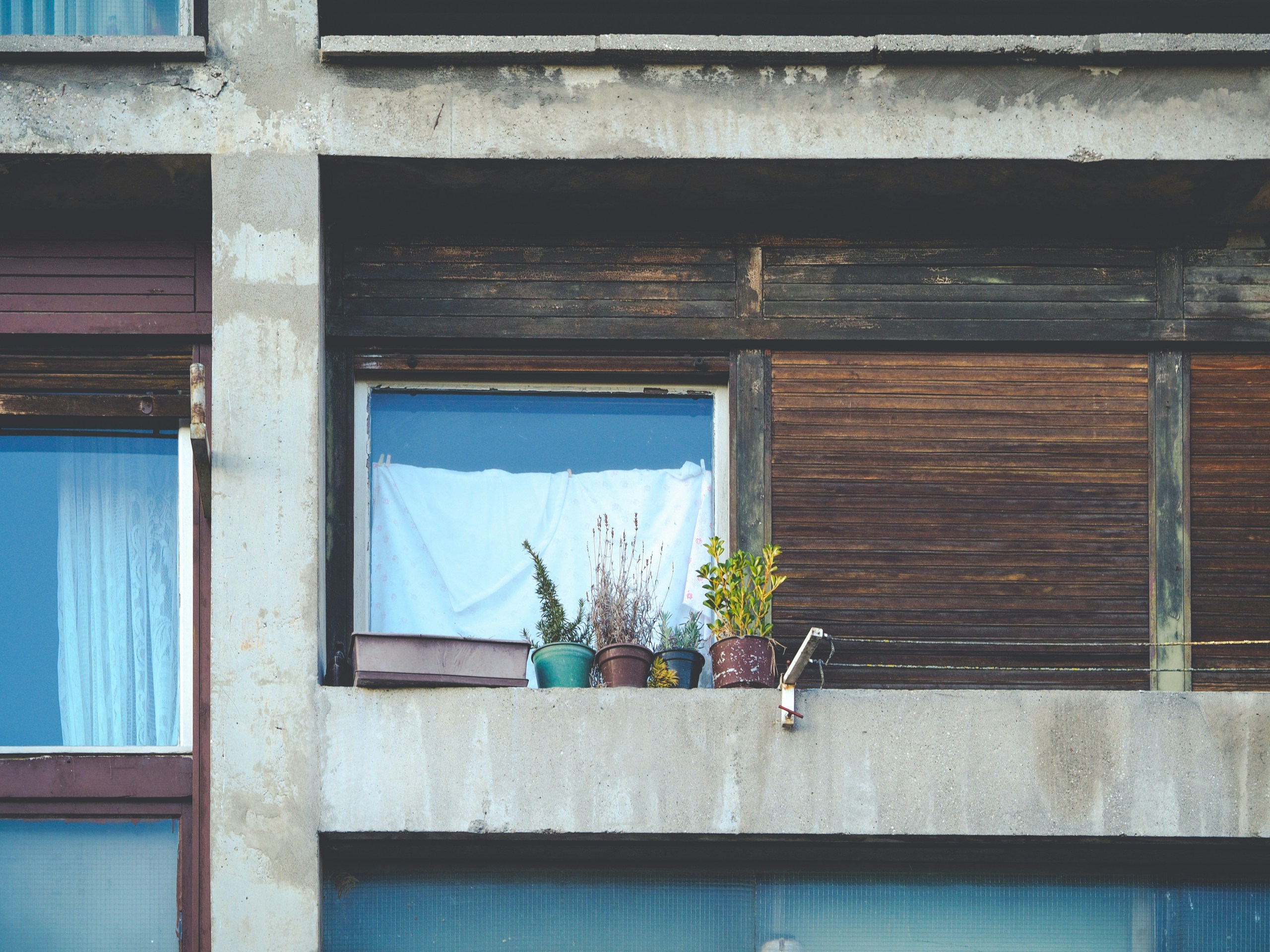 Free Unsplash photo from Ivan Vranić