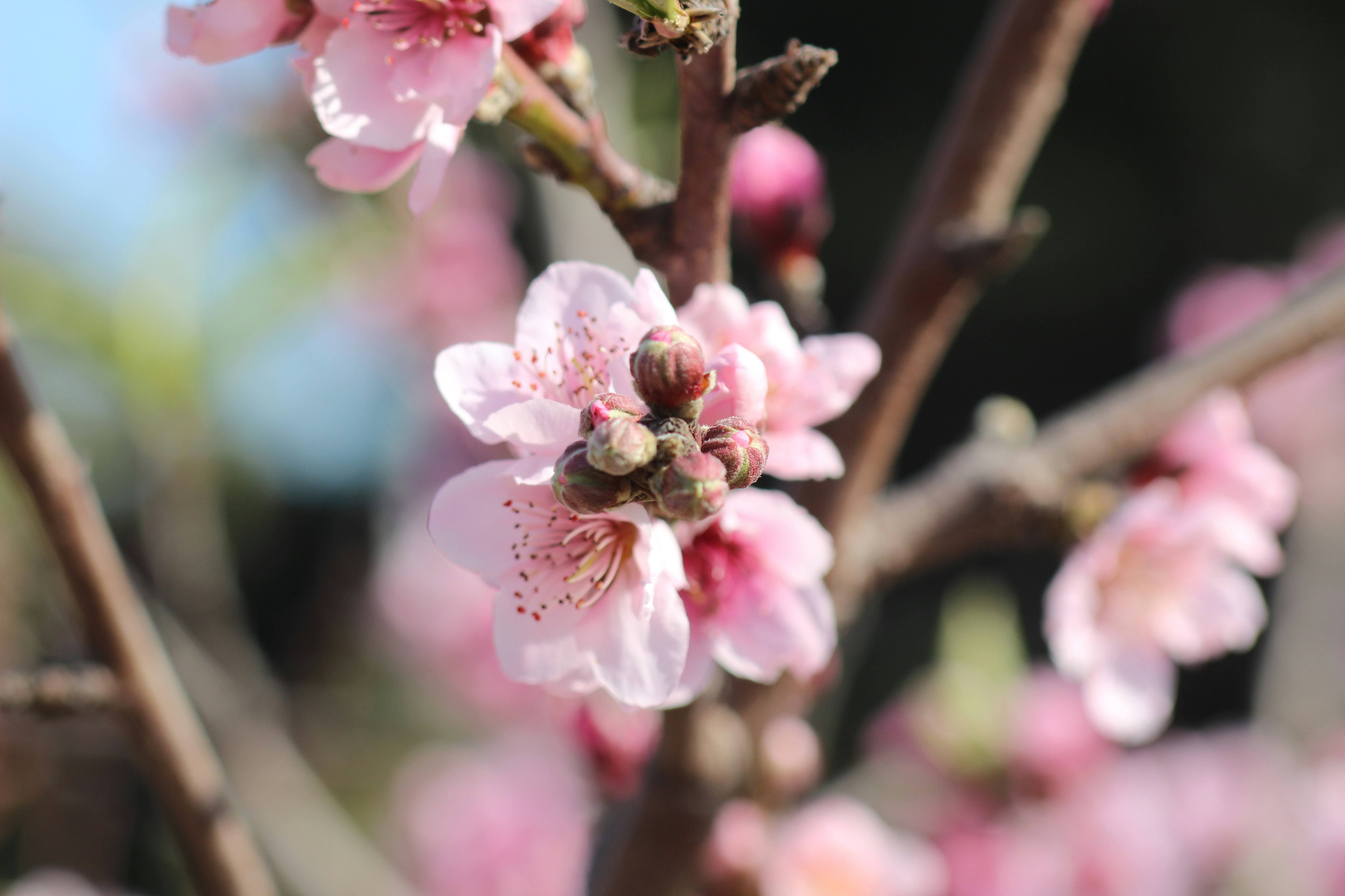 Free Unsplash photo from Gustavo Rosas