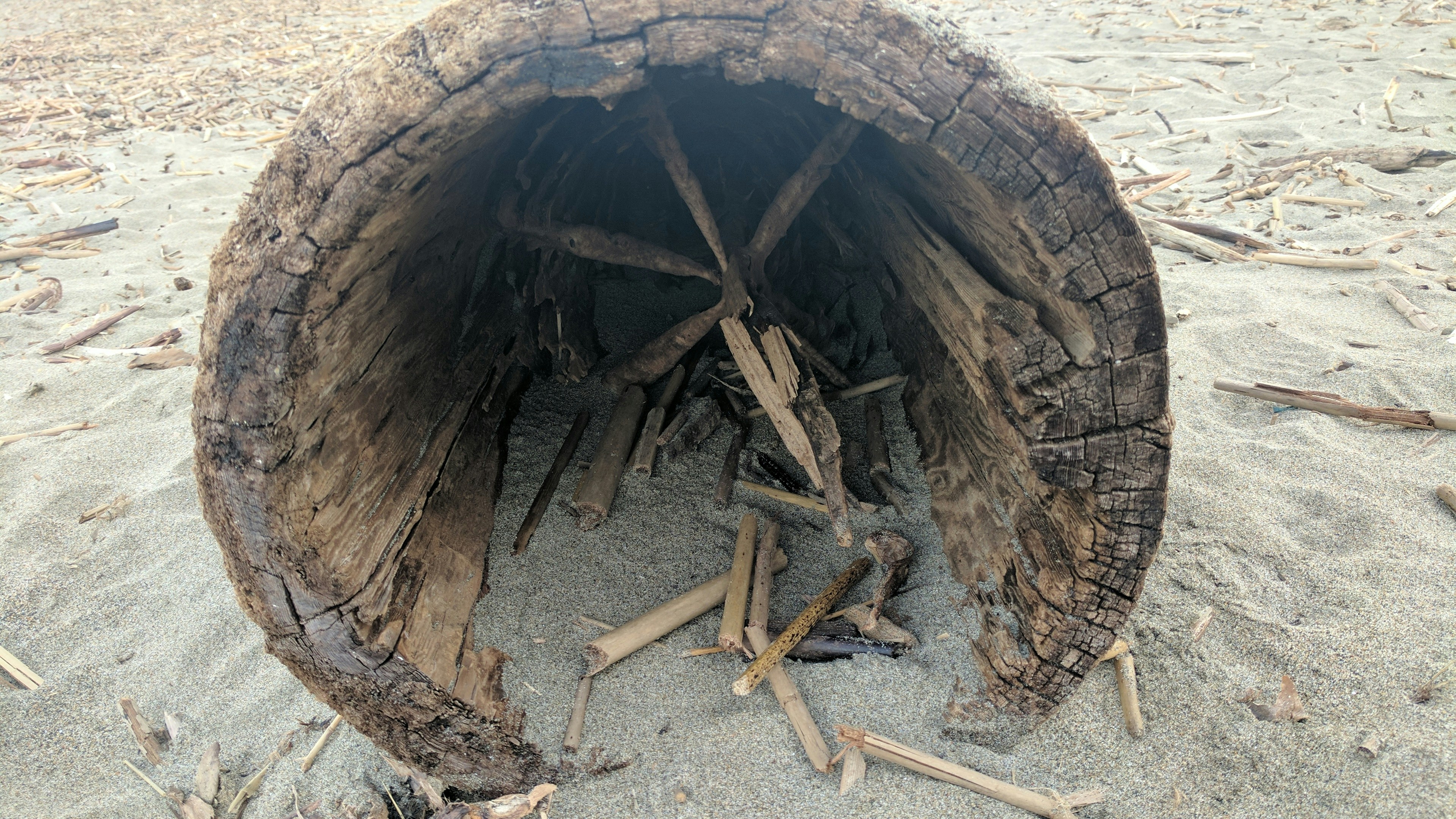 Free Unsplash photo from Ryan Wold