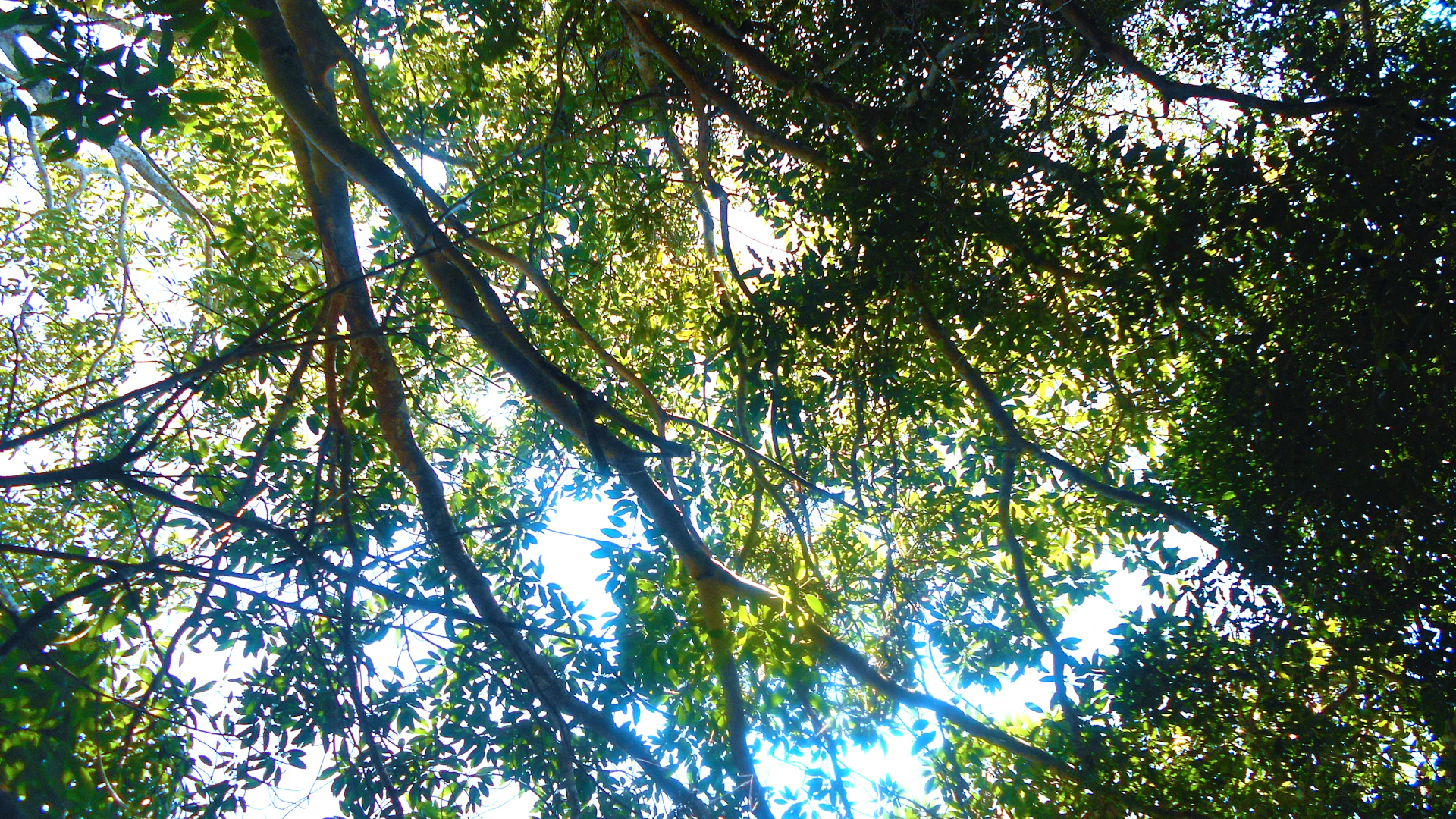 woman wearing yellow long-sleeved dress under white clouds and blue sky during daytime