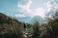 Hikers walking along a sunlit trail surrounded by lush greenery in the Gargano National Park.