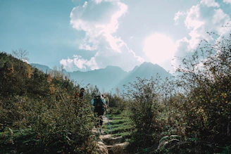 Hikers walking along a sunlit forest trail with towering trees and distant mountain views in Croatia.