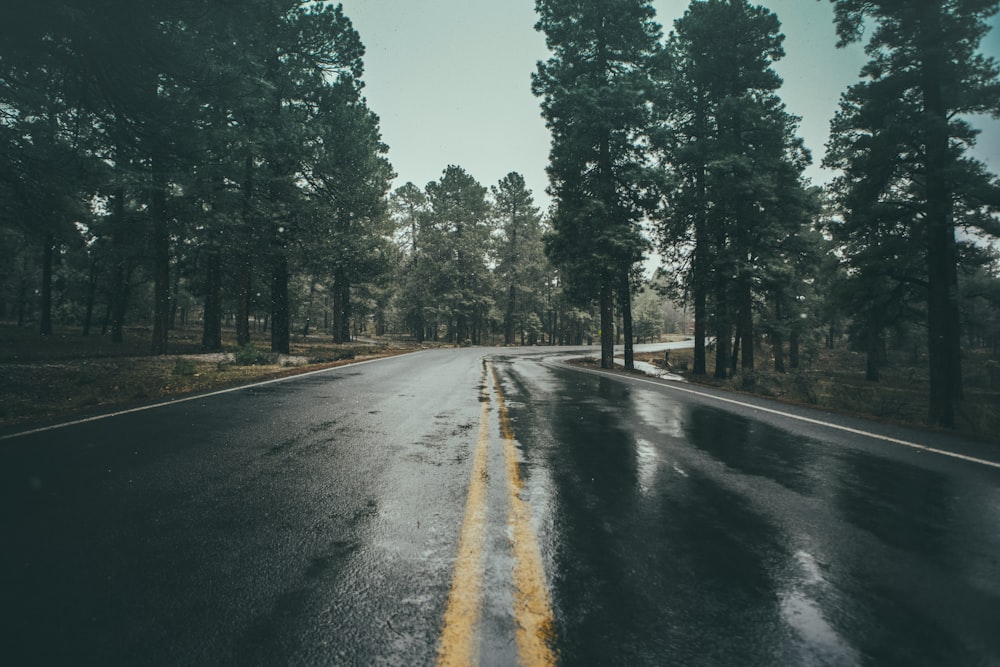 photography of wet asphalt road