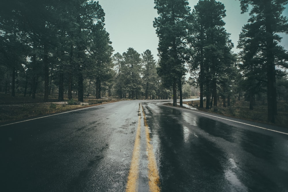 fotografia de estrada de asfalto molhado