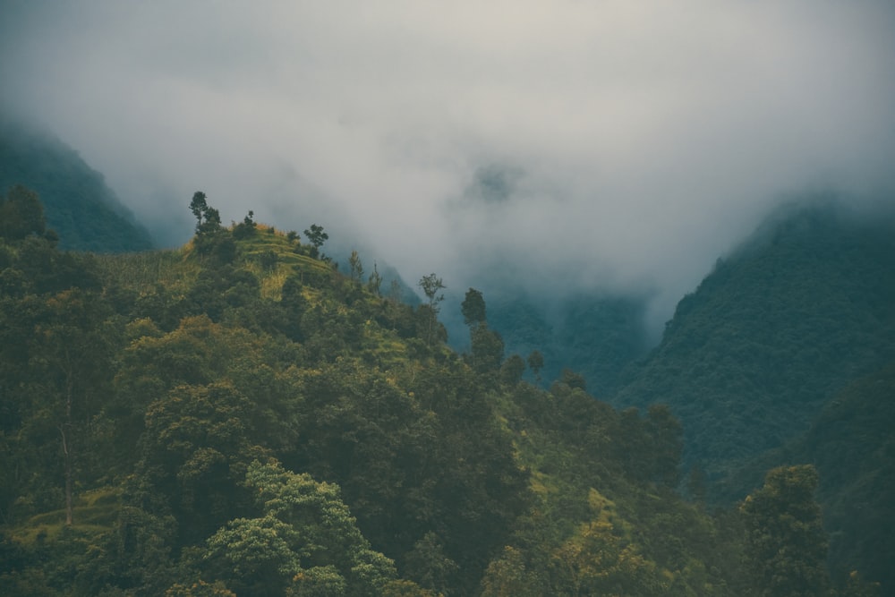 mountain covered by clouds