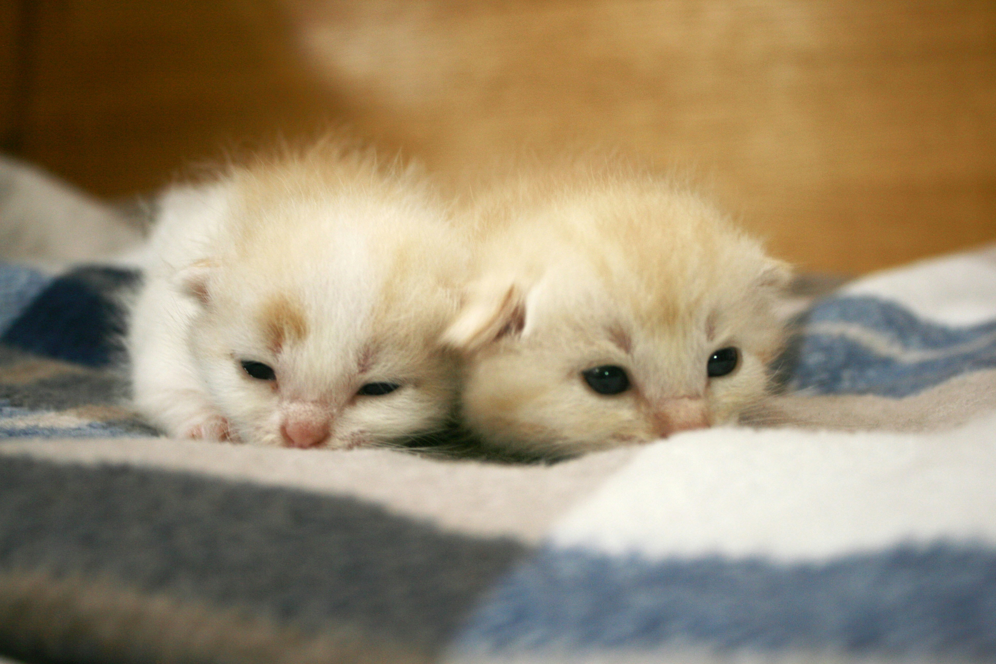 Free Unsplash photo from lee heonseo