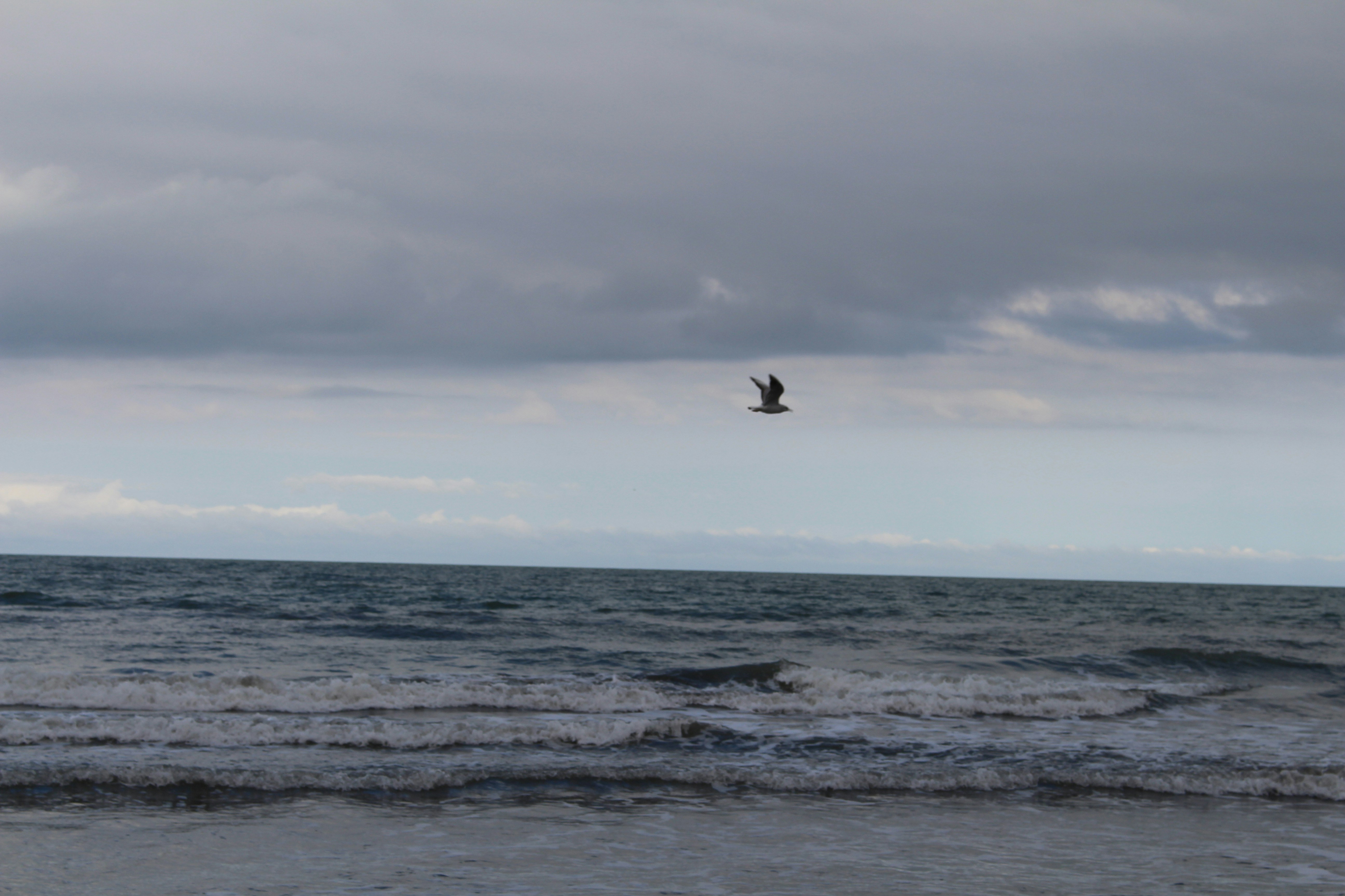 Free Unsplash photo from Amir Mobasheri