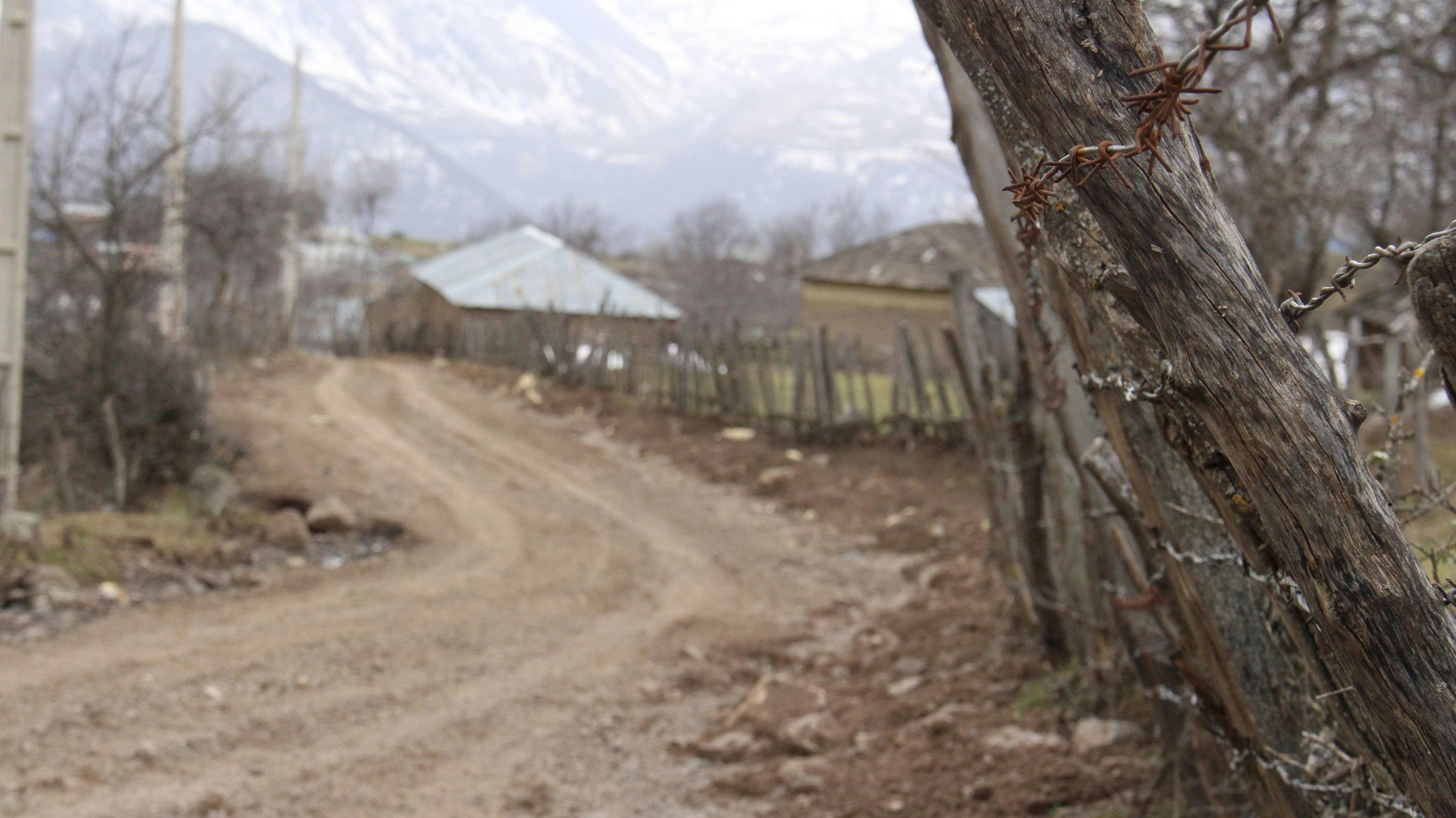 Free Unsplash photo from Amir Mobasheri