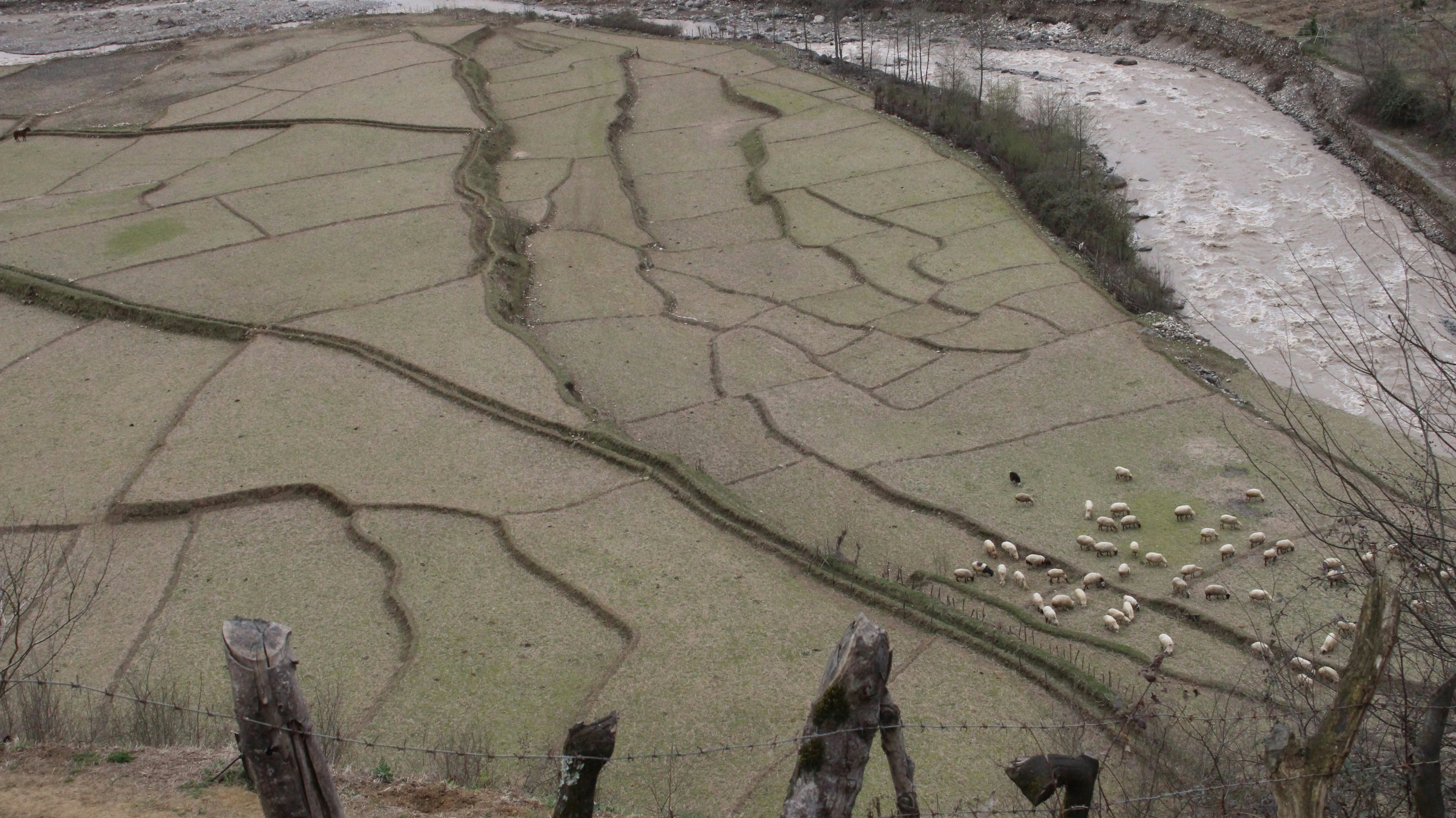 Free Unsplash photo from Amir Mobasheri