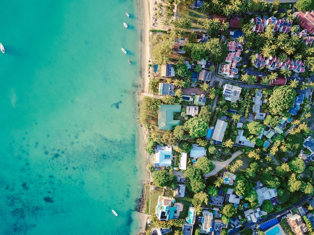 high-angle photography of houses near body of water