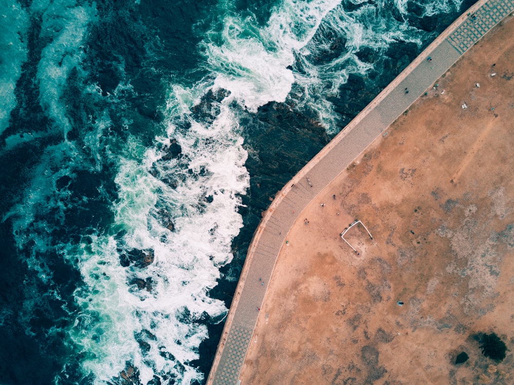 bird's-eye view photography of park near body of water