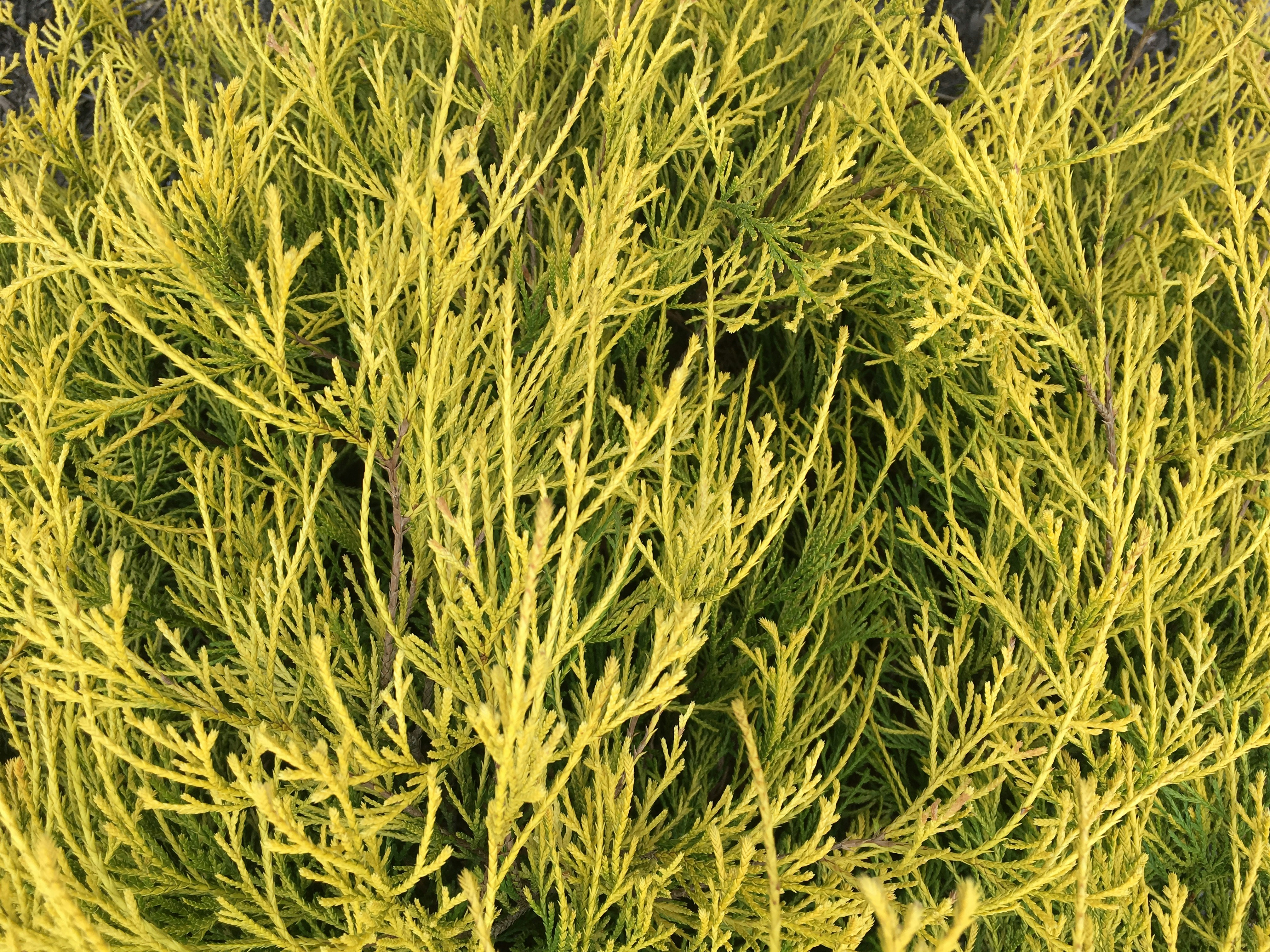 Free Unsplash photo from Hayden Mills