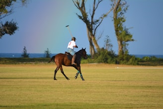 A person wearing a helmet and number 3 jersey is playing polo on a brown horse, holding a mallet raised in the air. The scene takes place on a grassy field surrounded by tall trees, with a glimpse of the ocean and a faint rainbow in the background.