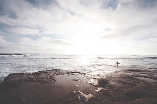 landscape photography of seashore in San Diego United States