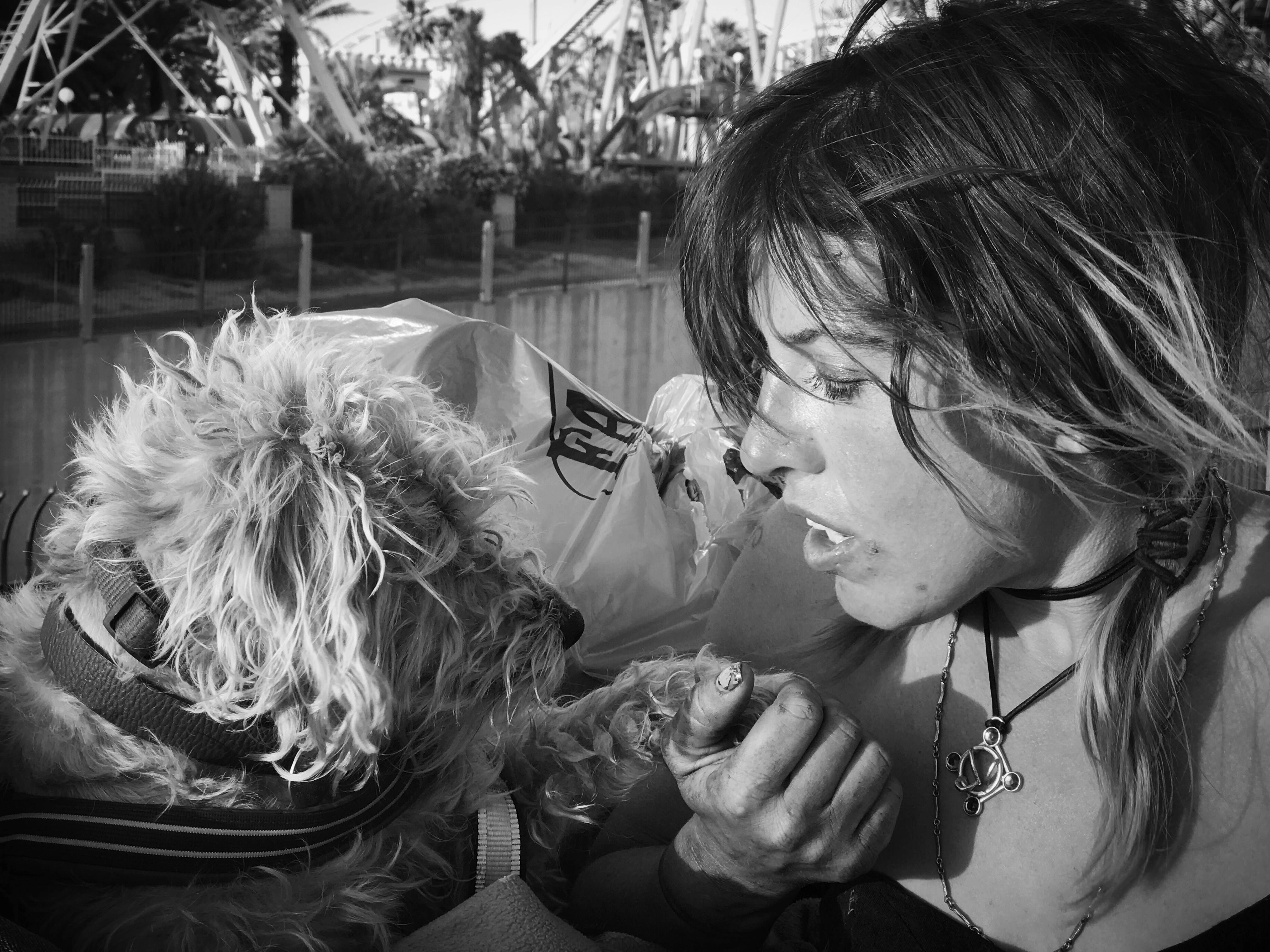 Free Unsplash photo from Martez Ronan