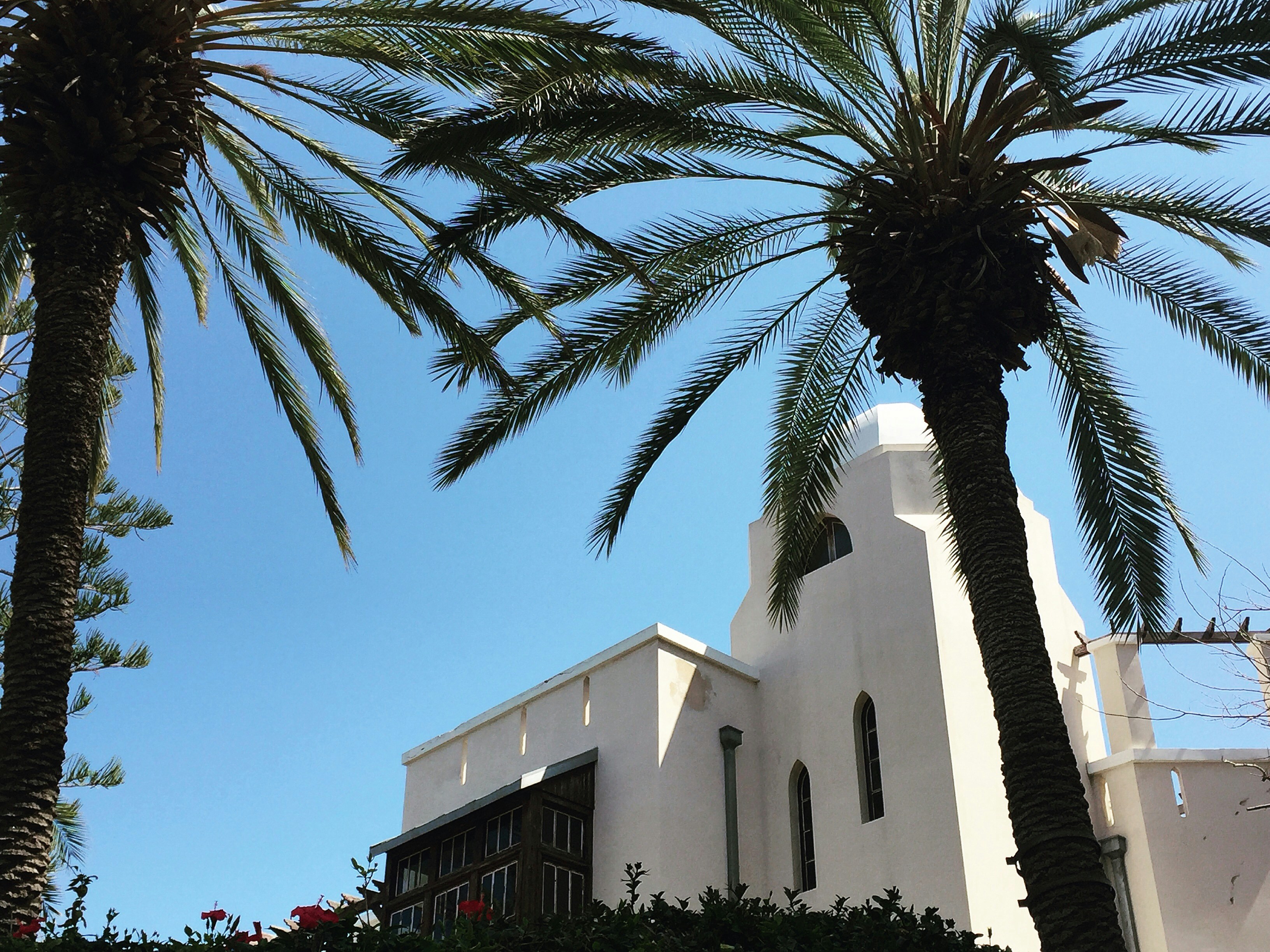 Free Unsplash photo from Tatiana Zhukova