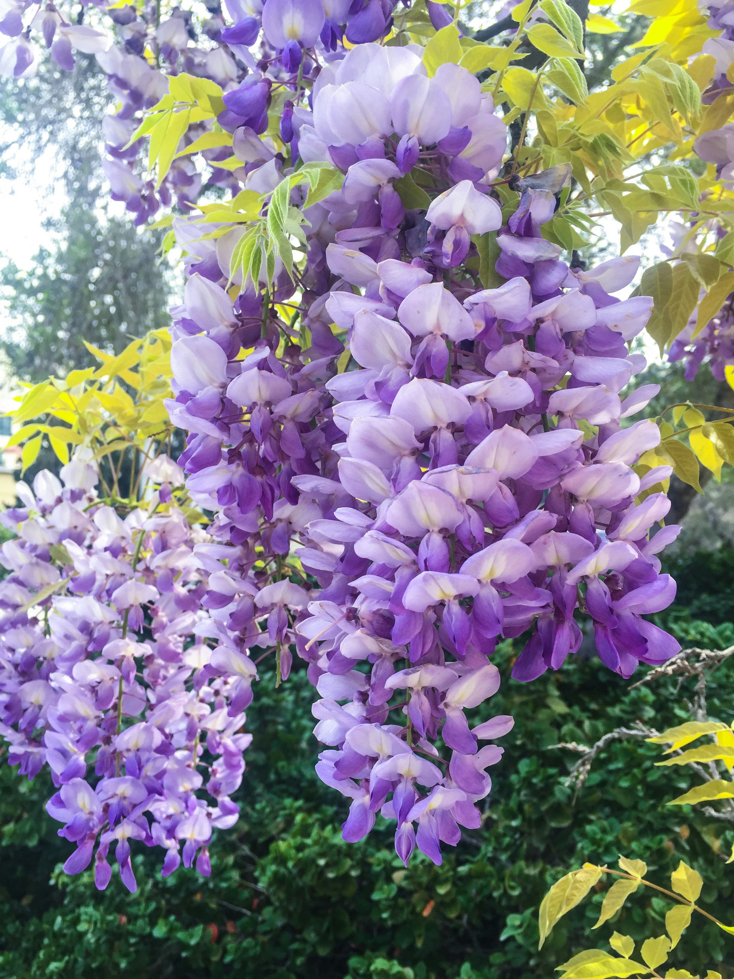 Free Unsplash photo from Tatiana Zhukova