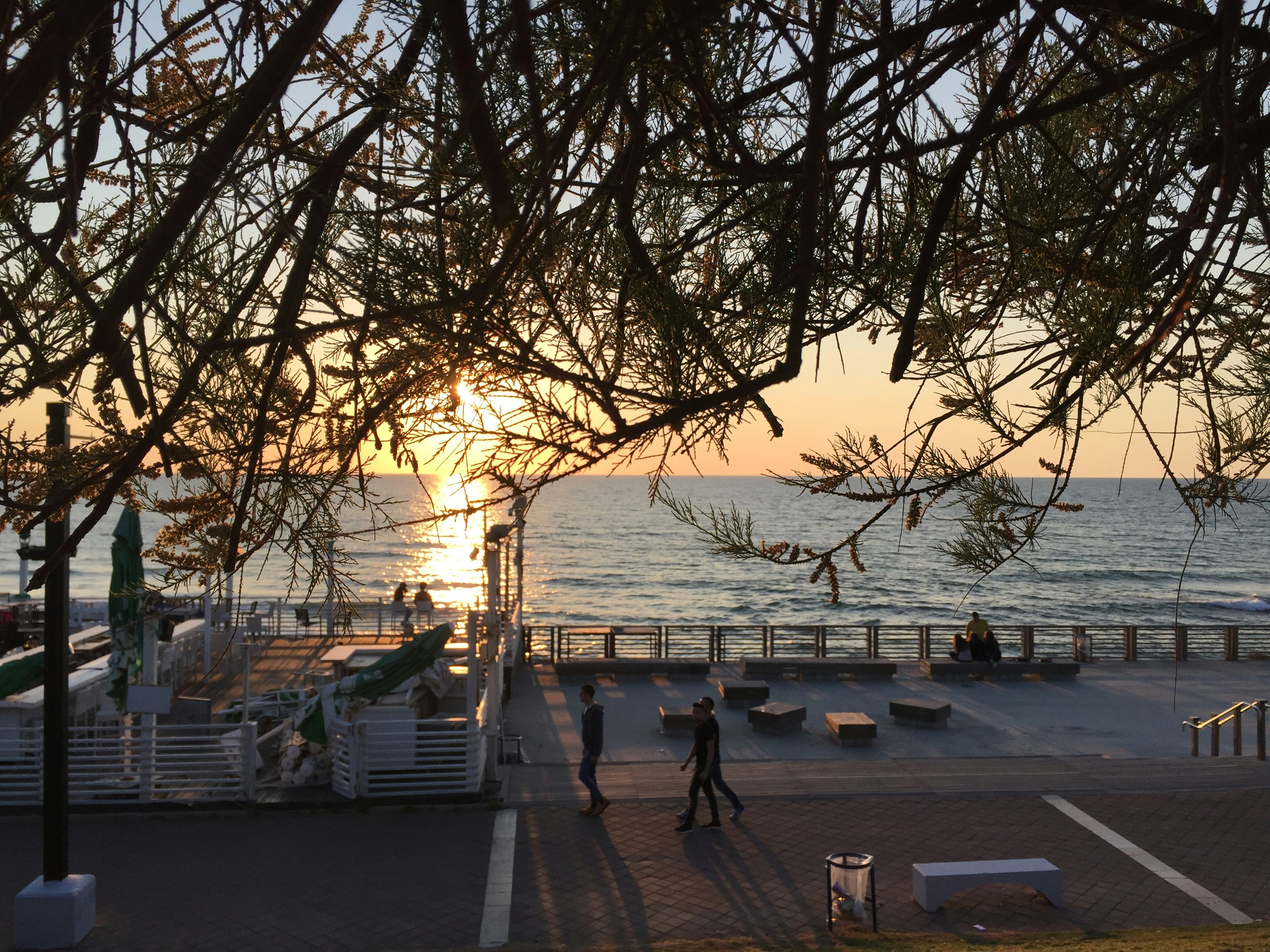 Free Unsplash photo from Tatiana Zhukova