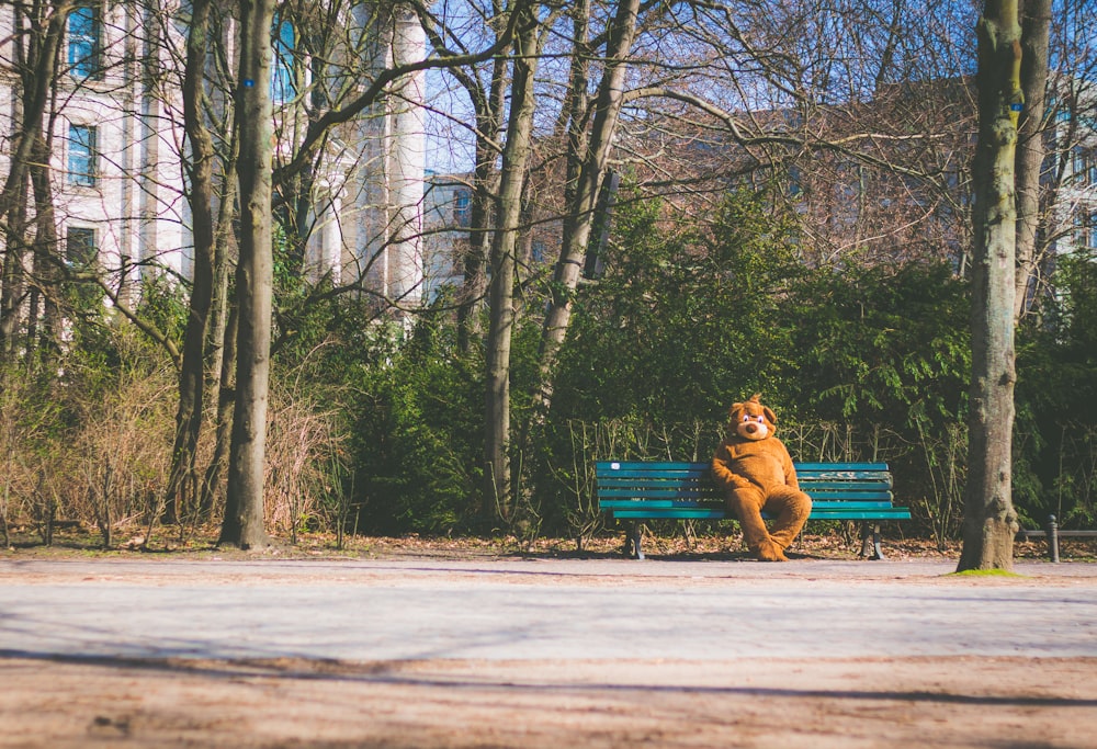 Mascotte dell'orso bruno seduta su una panchina di legno verde acqua