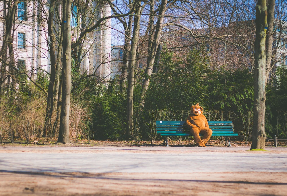 Mascotte d’ours brun assis sur un banc en bois turquoise