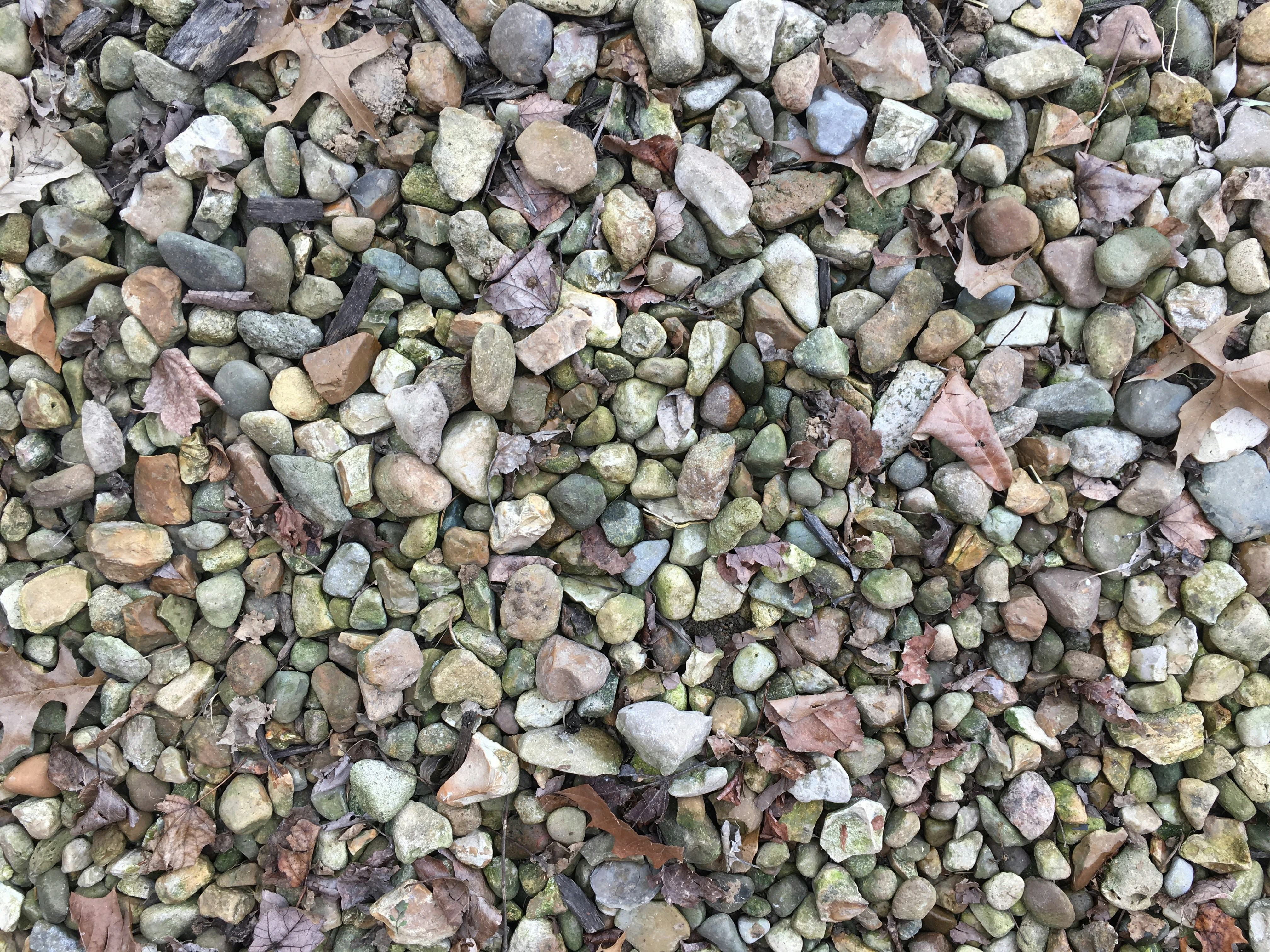 Free Unsplash photo from Hayden Mills