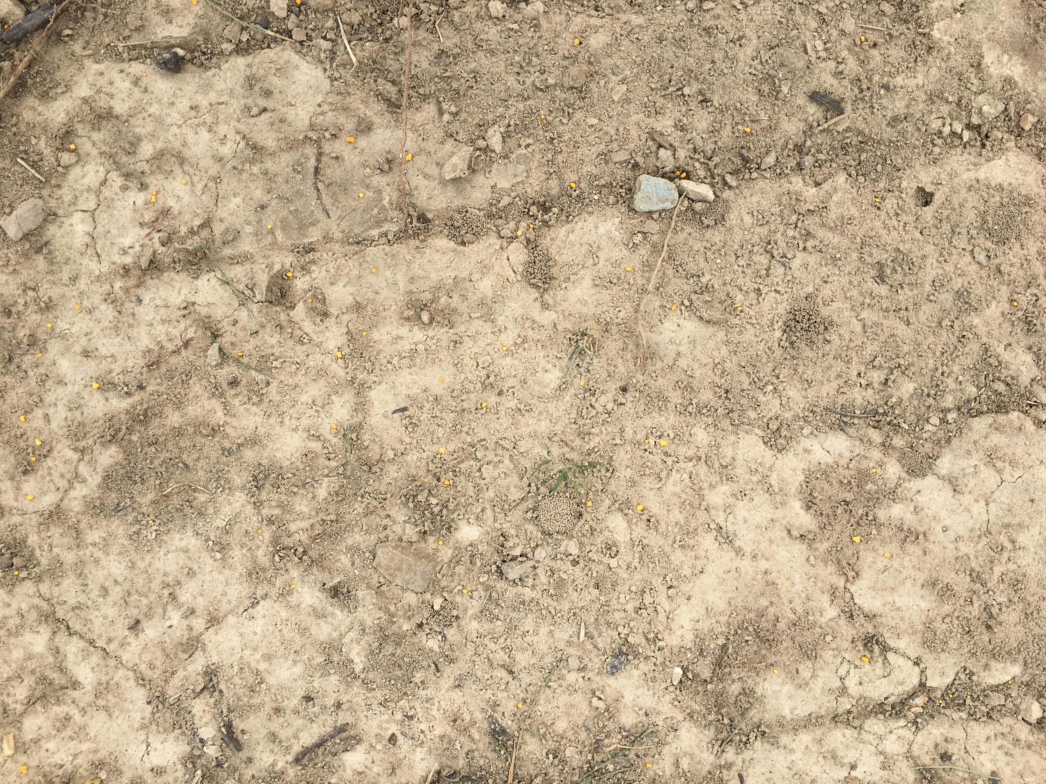 Free Unsplash photo from Hayden Mills