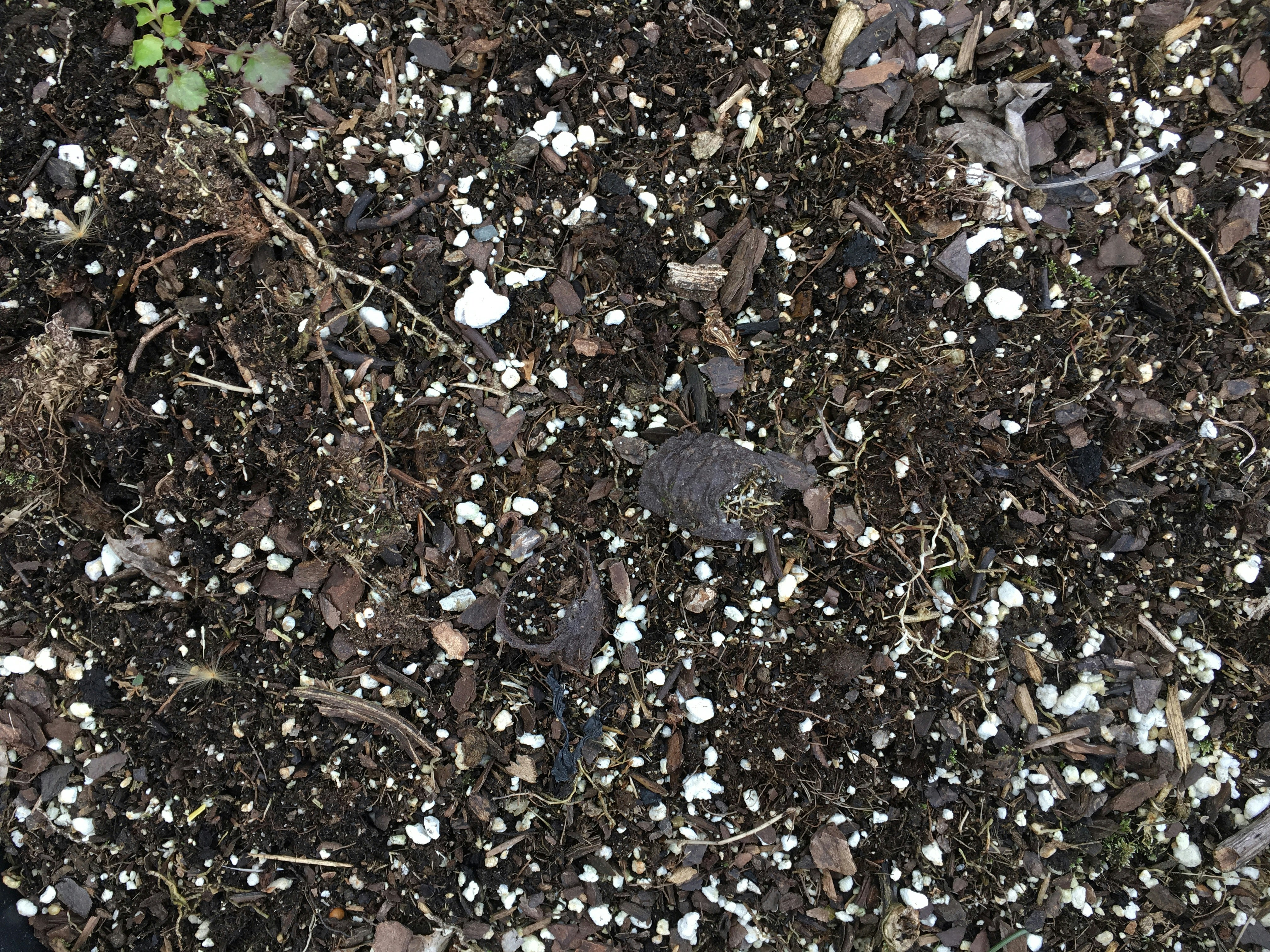 Free Unsplash photo from Hayden Mills