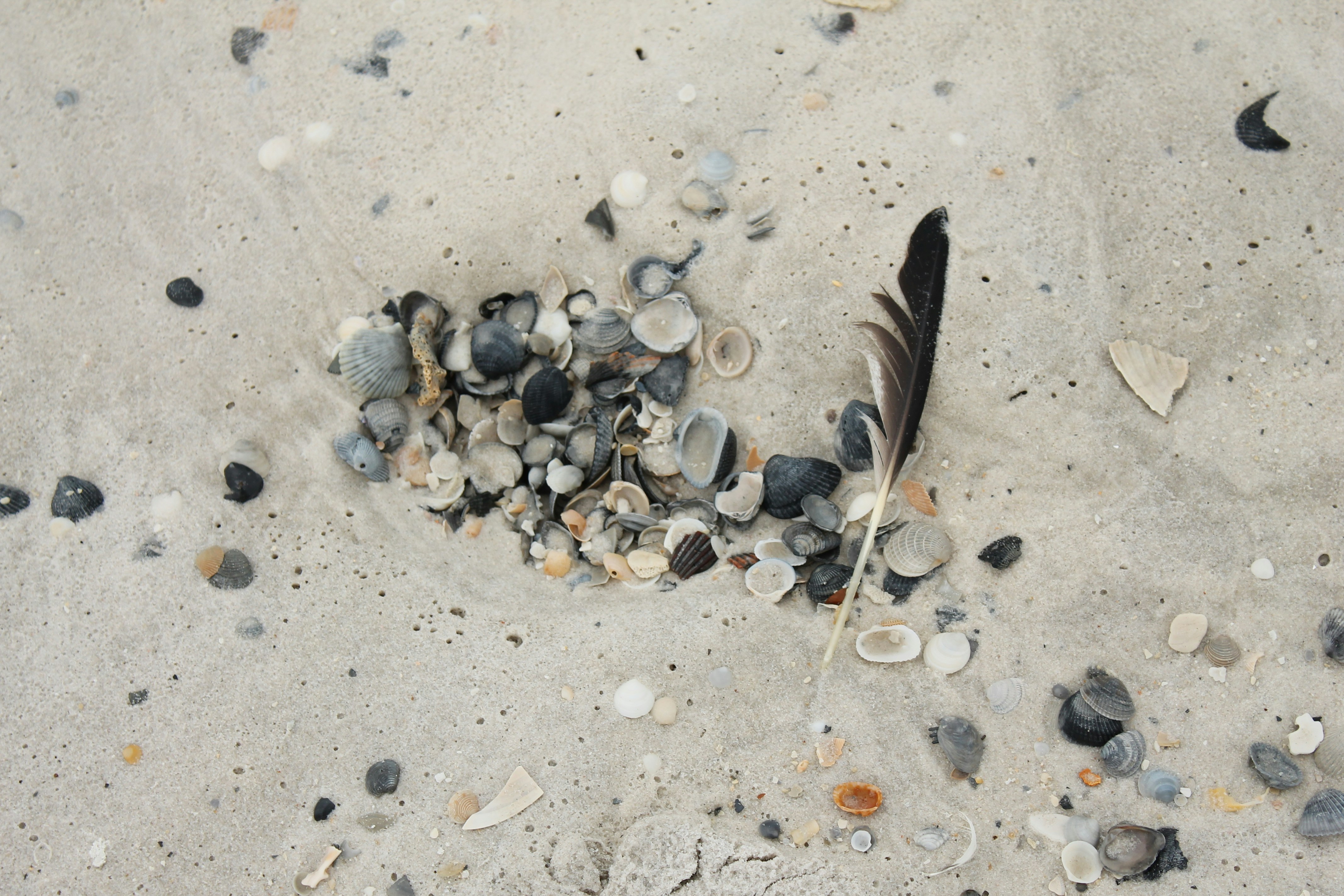 Free Unsplash photo from Shane McKnight