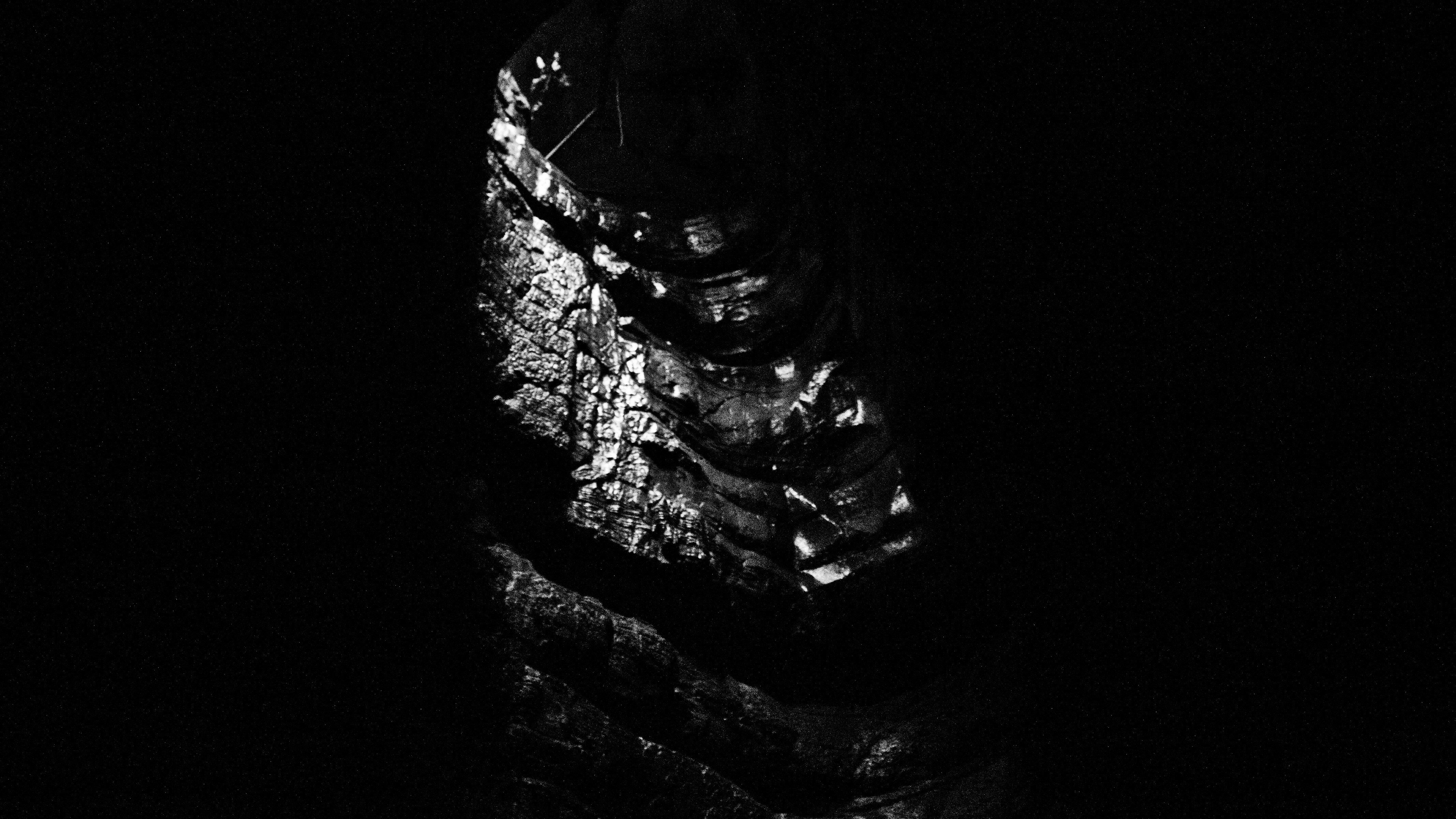 Free Unsplash photo from Shane McKnight