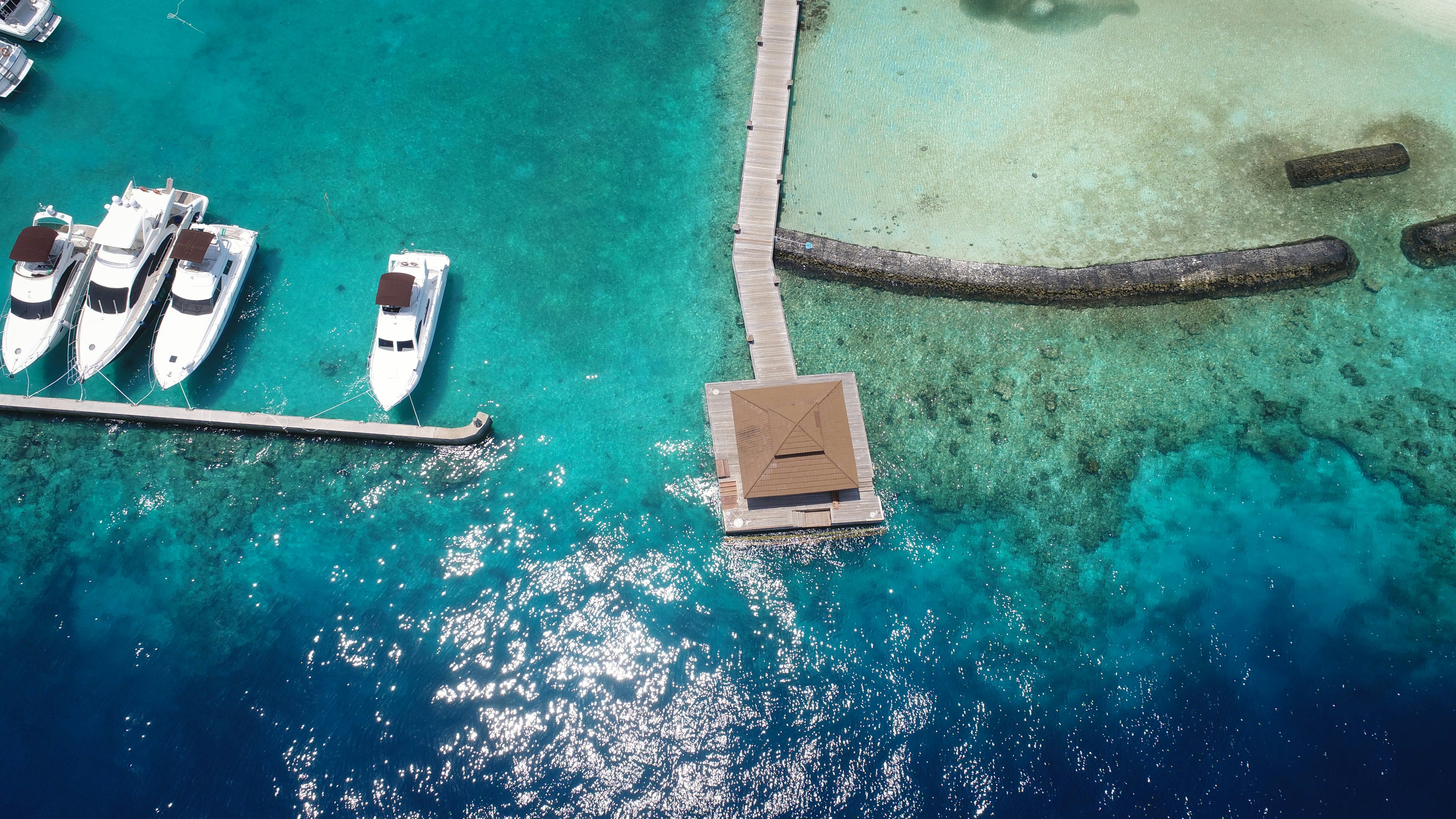 Free Unsplash photo from Shazmyn Ali