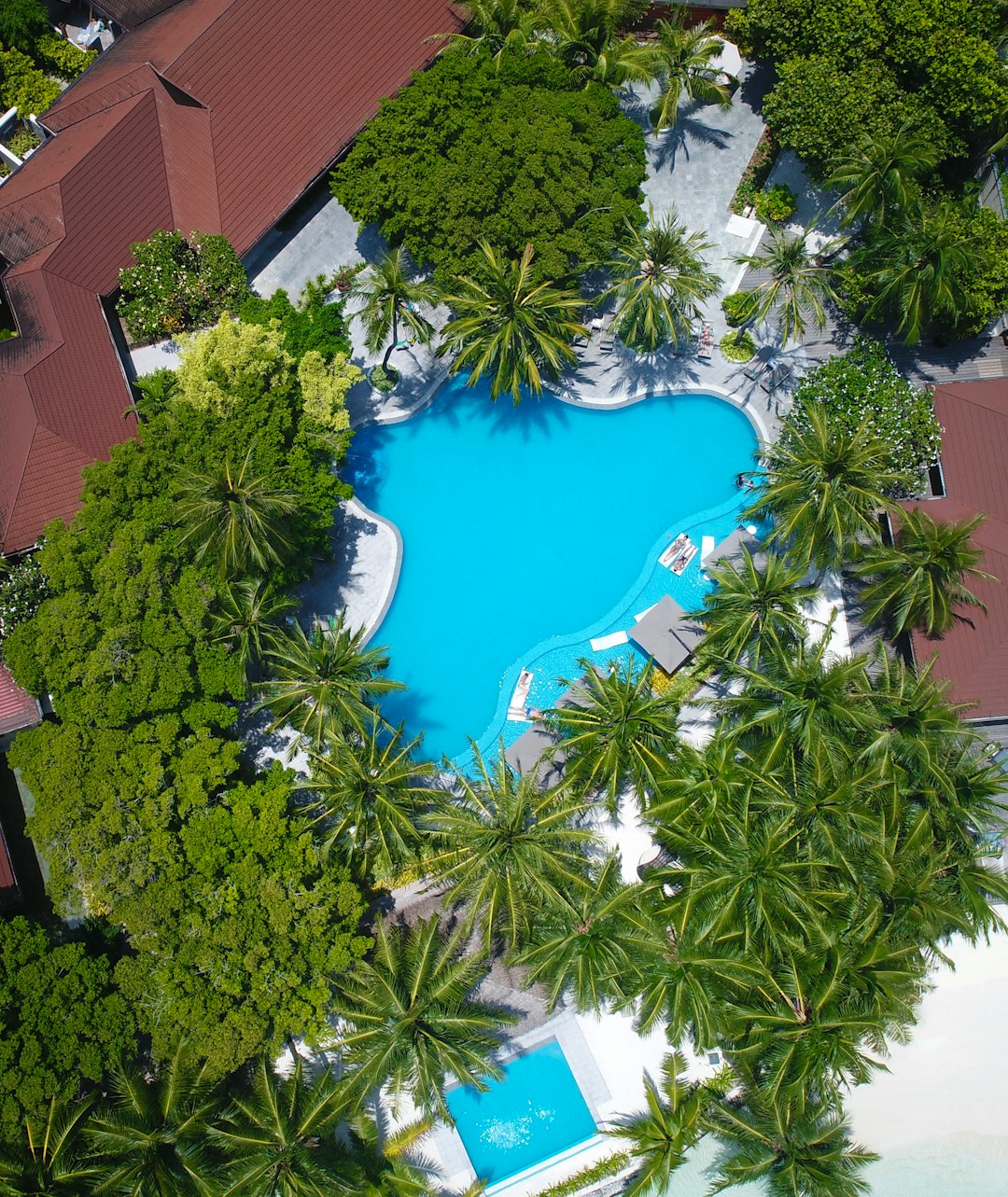 aerial photography of swimming pool