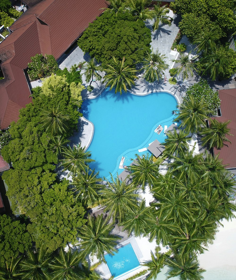 aerial photography of swimming pool