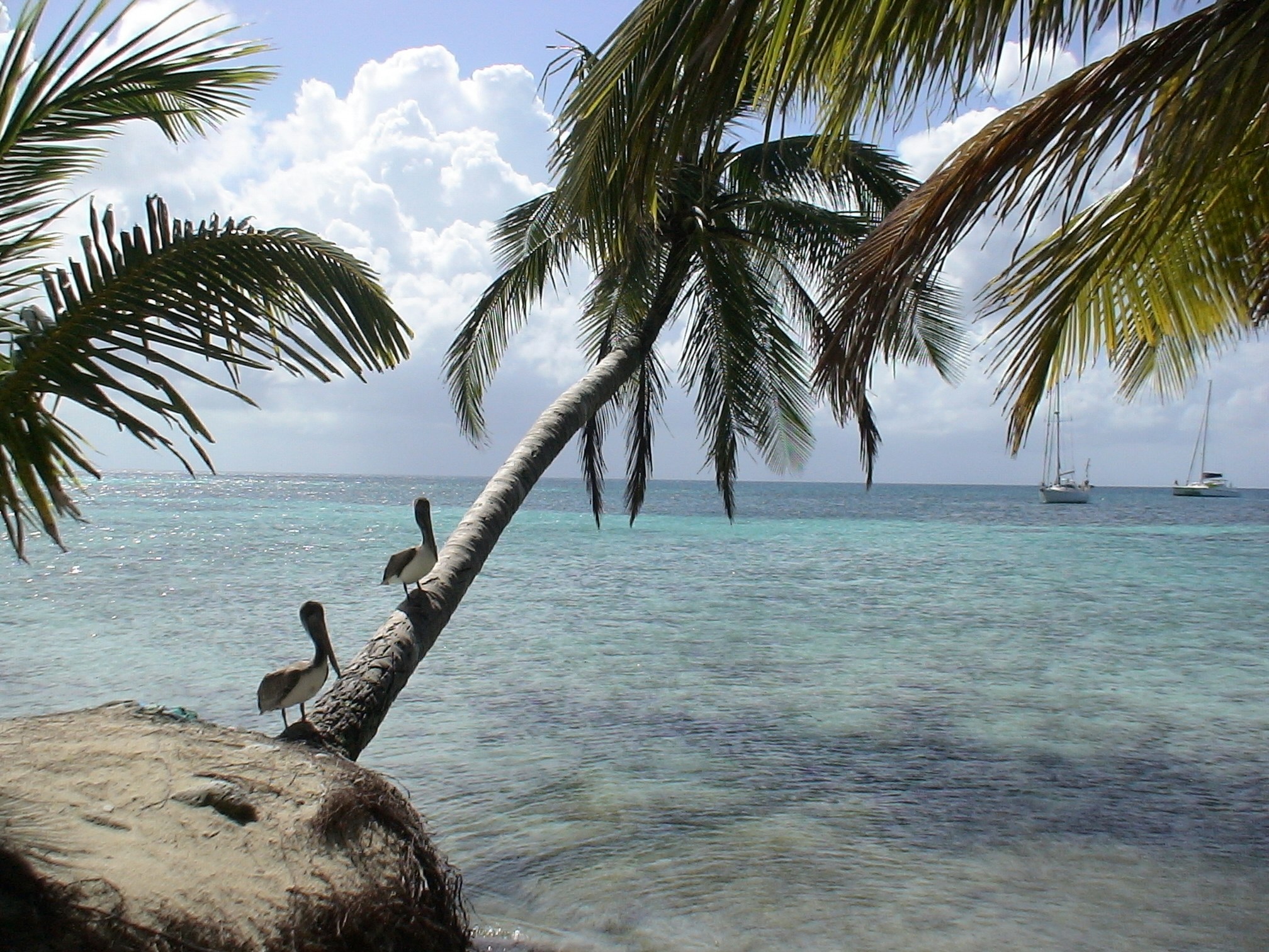 Free Unsplash photo from Rod Stamler