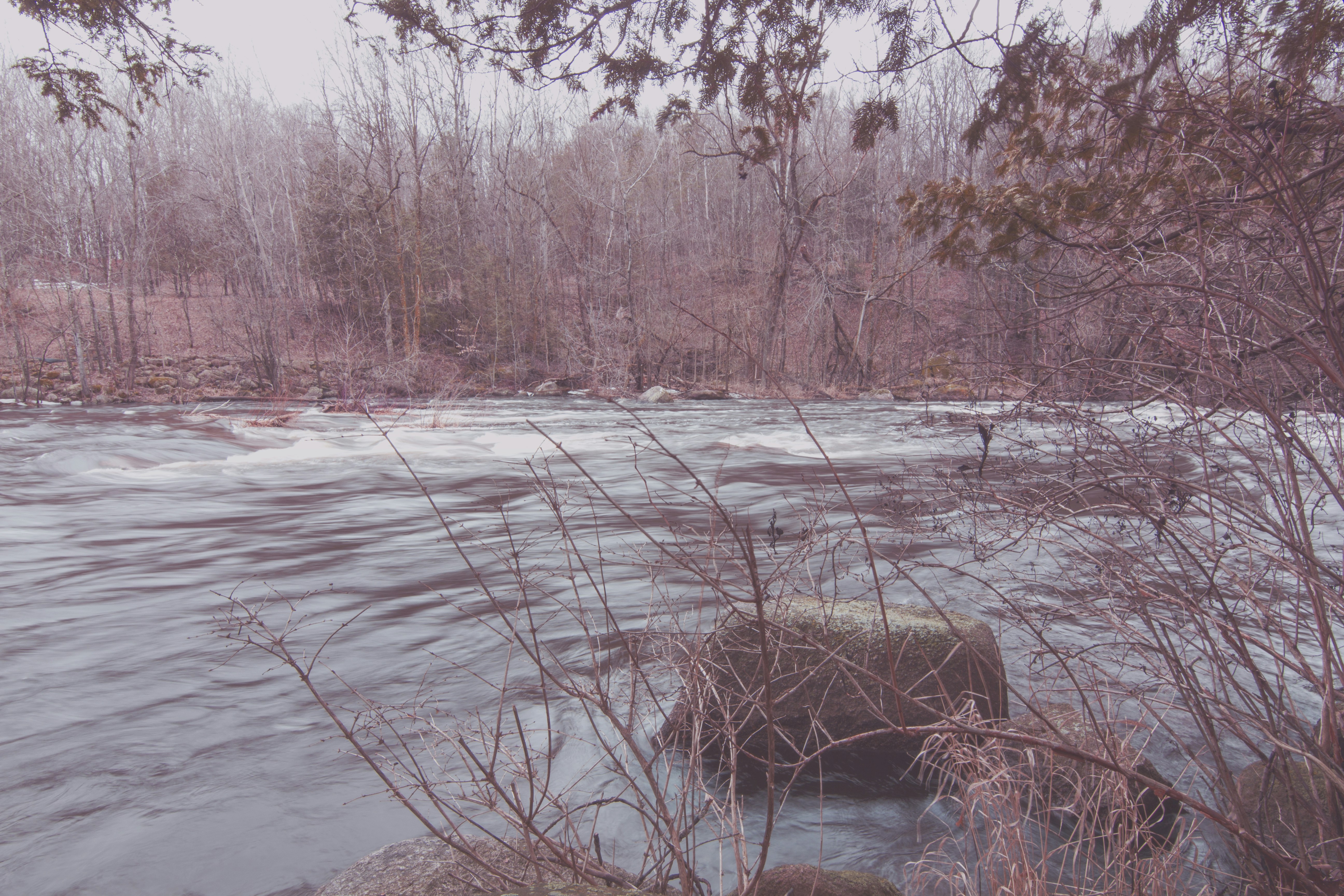 Free Unsplash photo from Corey Steiner