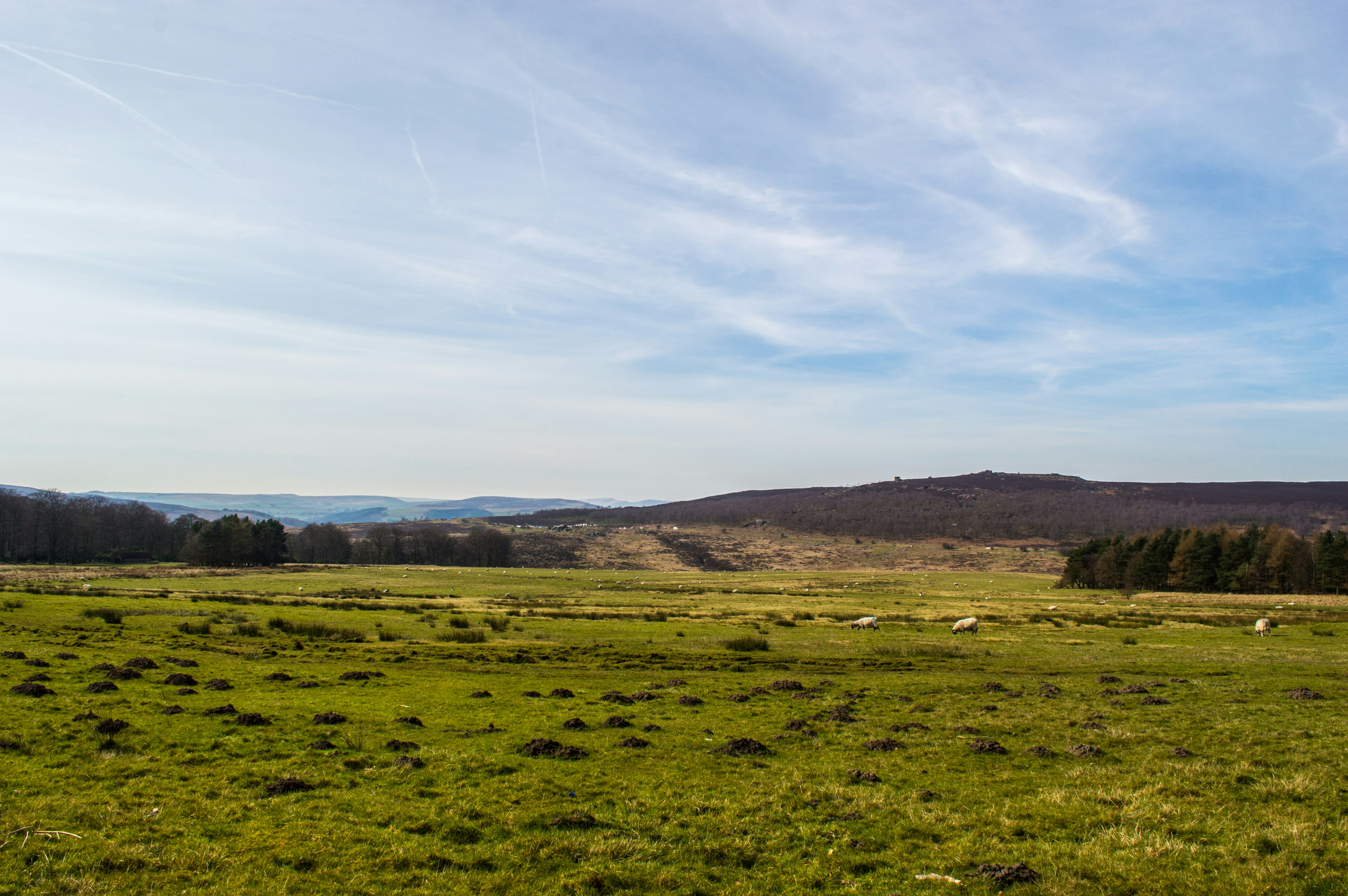 Free Unsplash photo from Adam Godsall