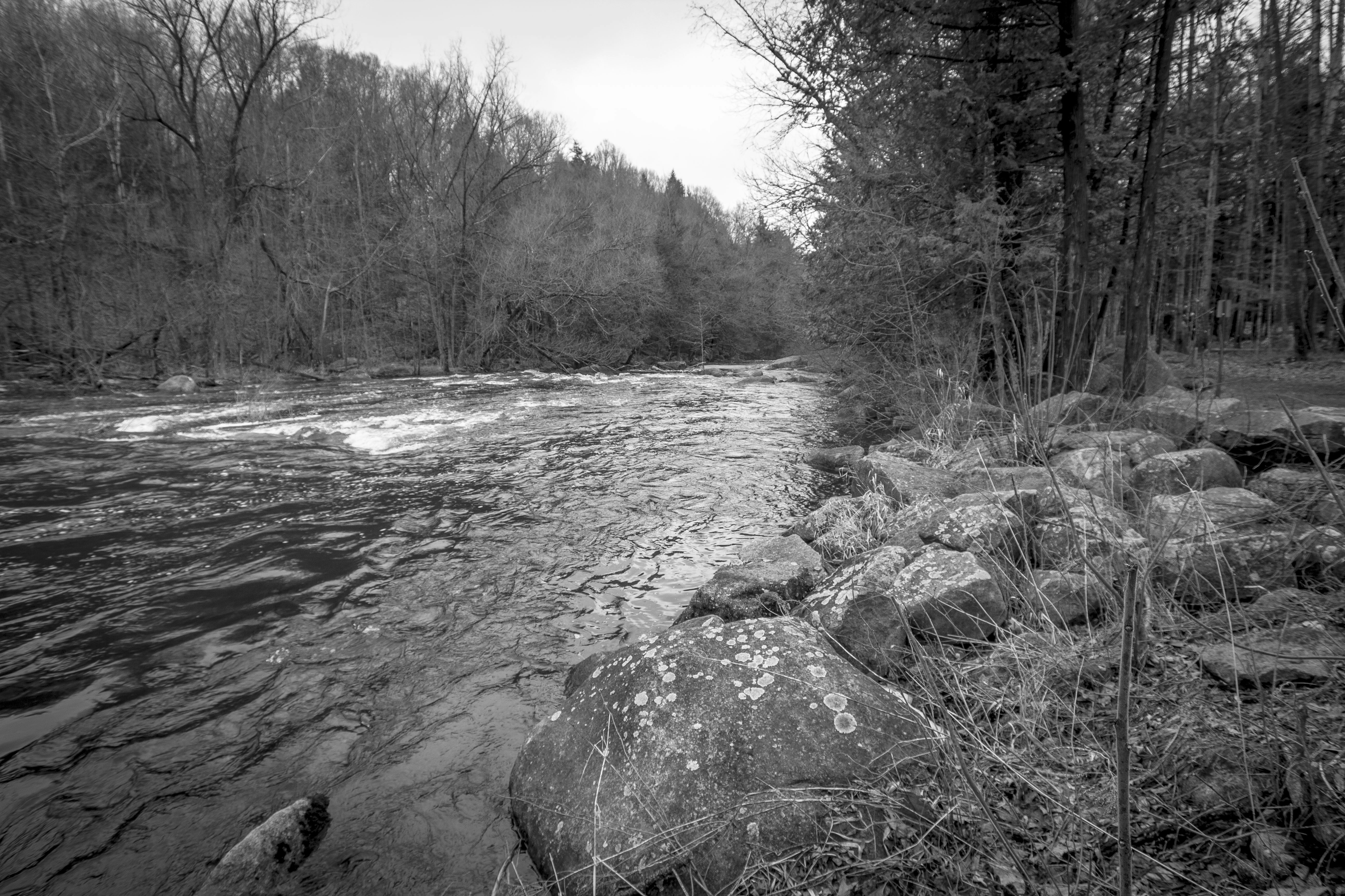 Free Unsplash photo from Corey Steiner