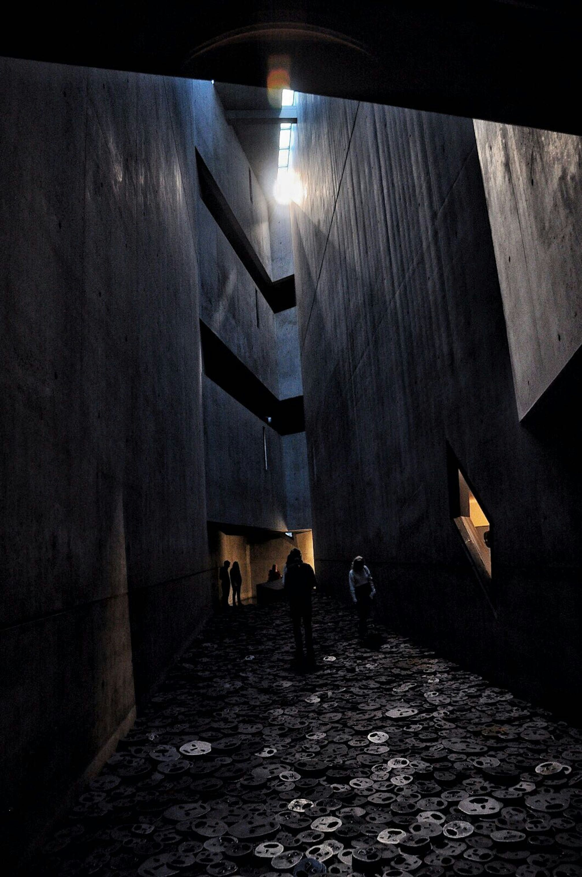 Free Unsplash photo from Kayleigh ten Horn