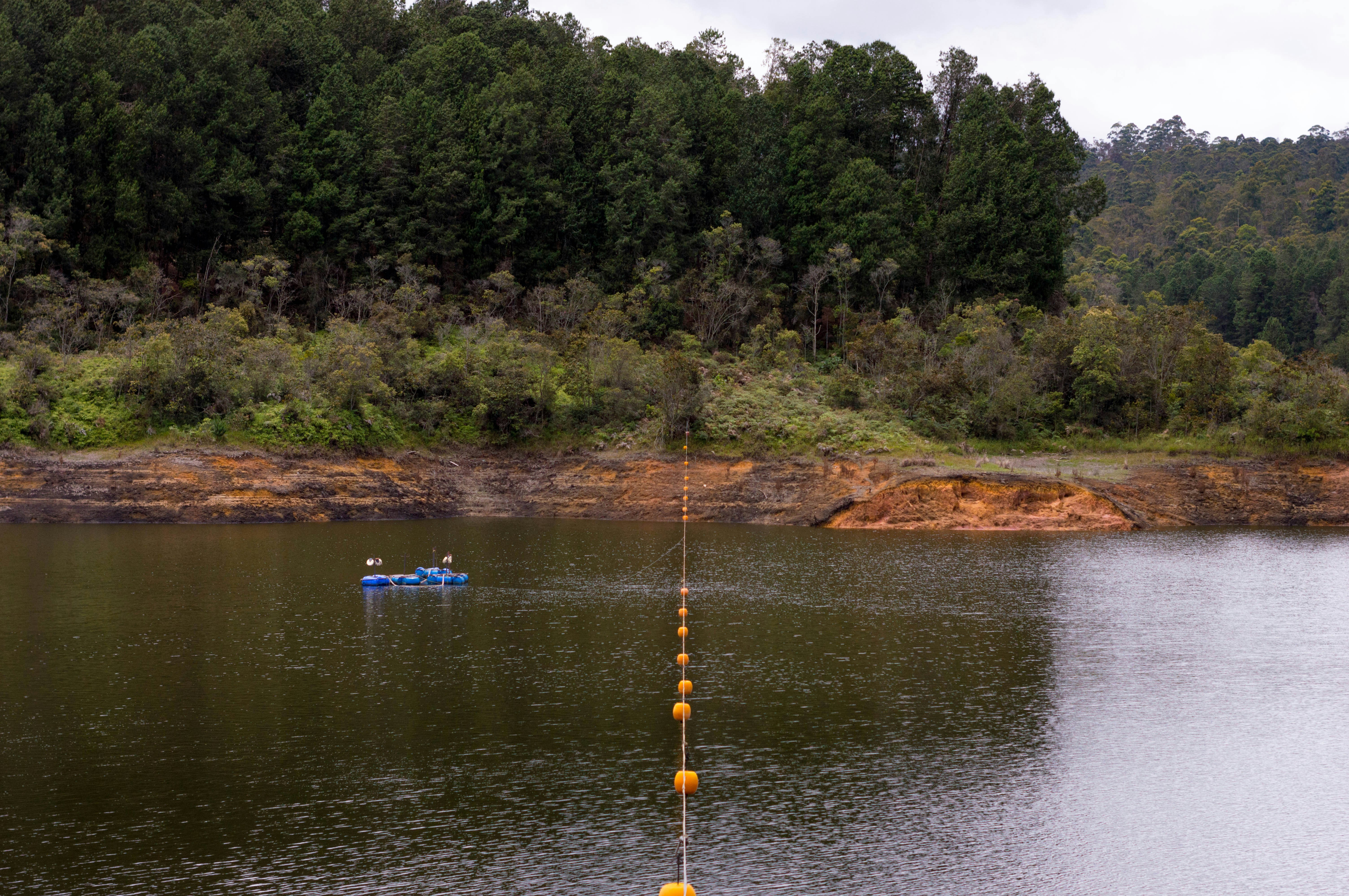 Free Unsplash photo from David Cortes