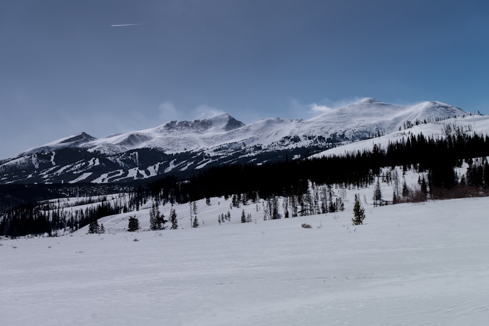 landscape photography of snow