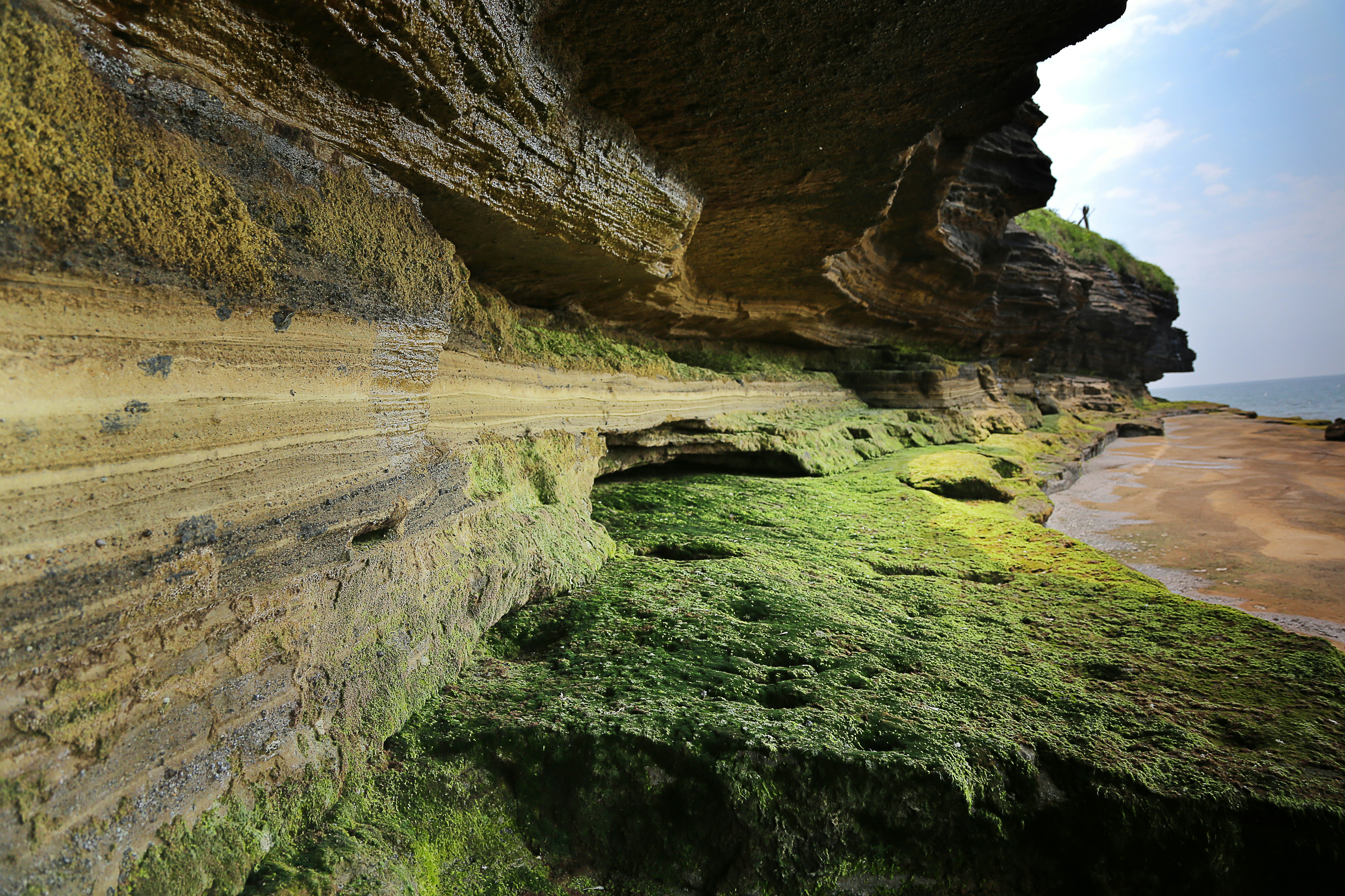 Free Unsplash photo from chen phantom