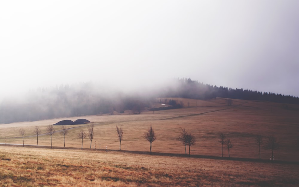 Blick auf die Landschaft mit Nebel