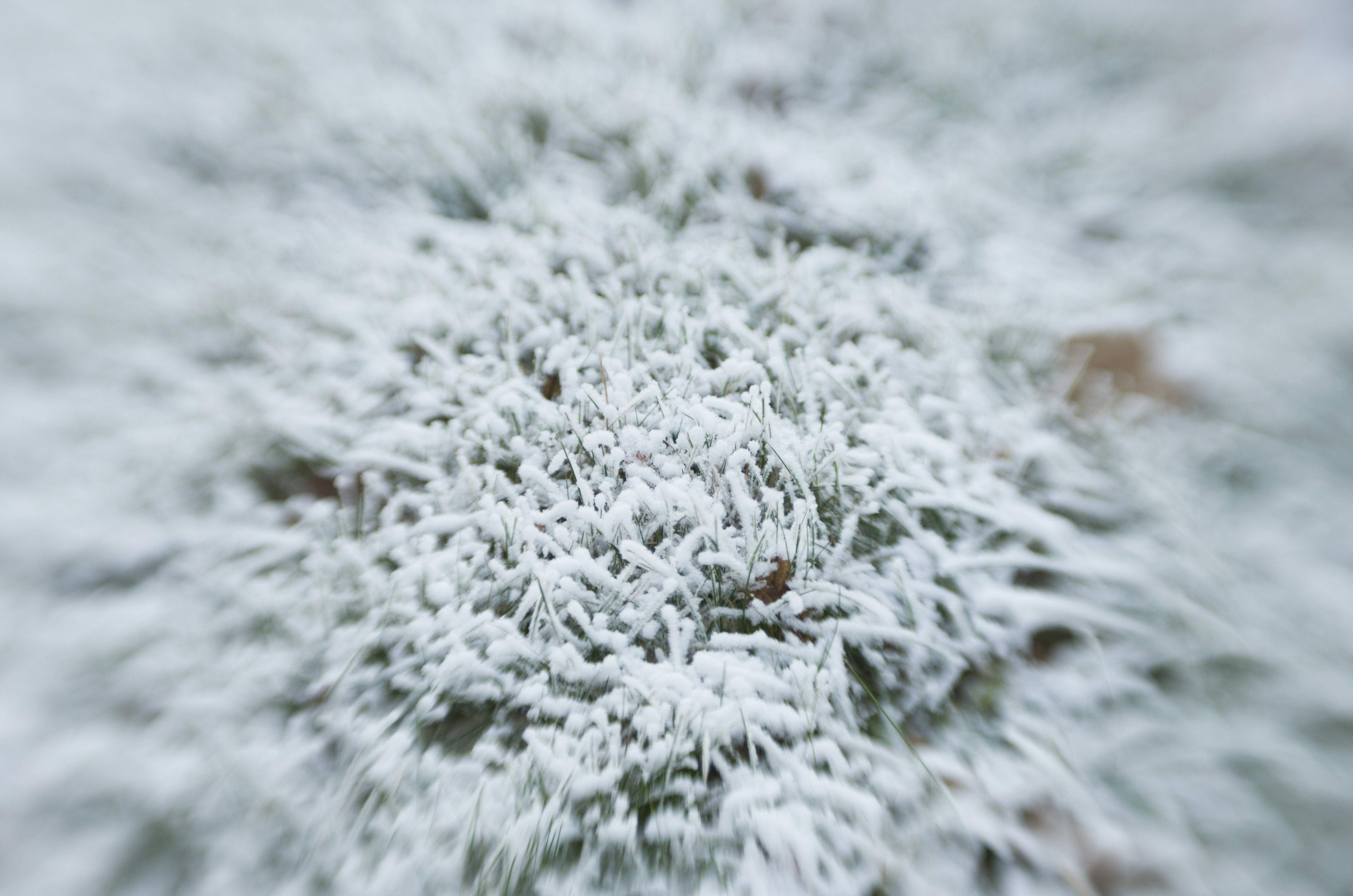 Free Unsplash photo from Jana Horová