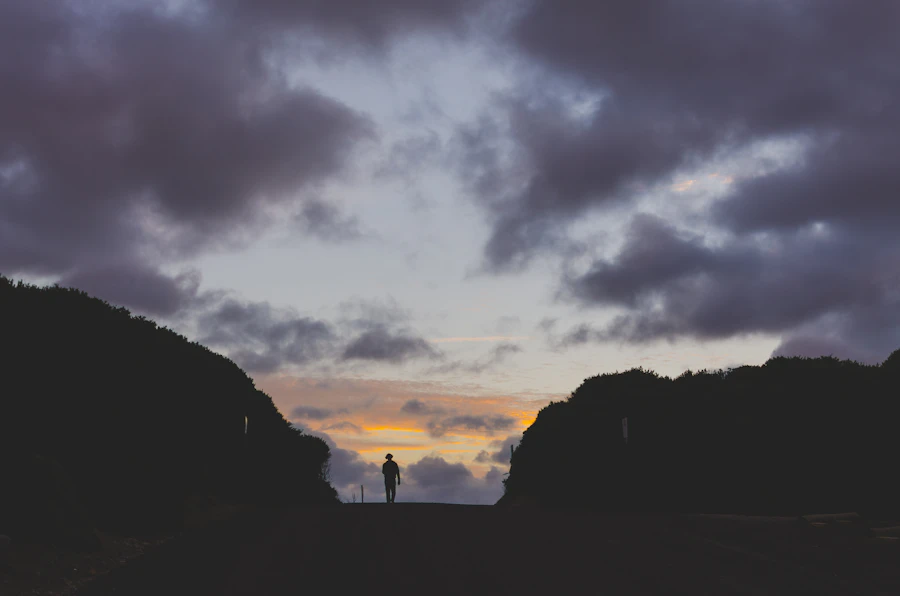 Person walking along a quiet outdoor path