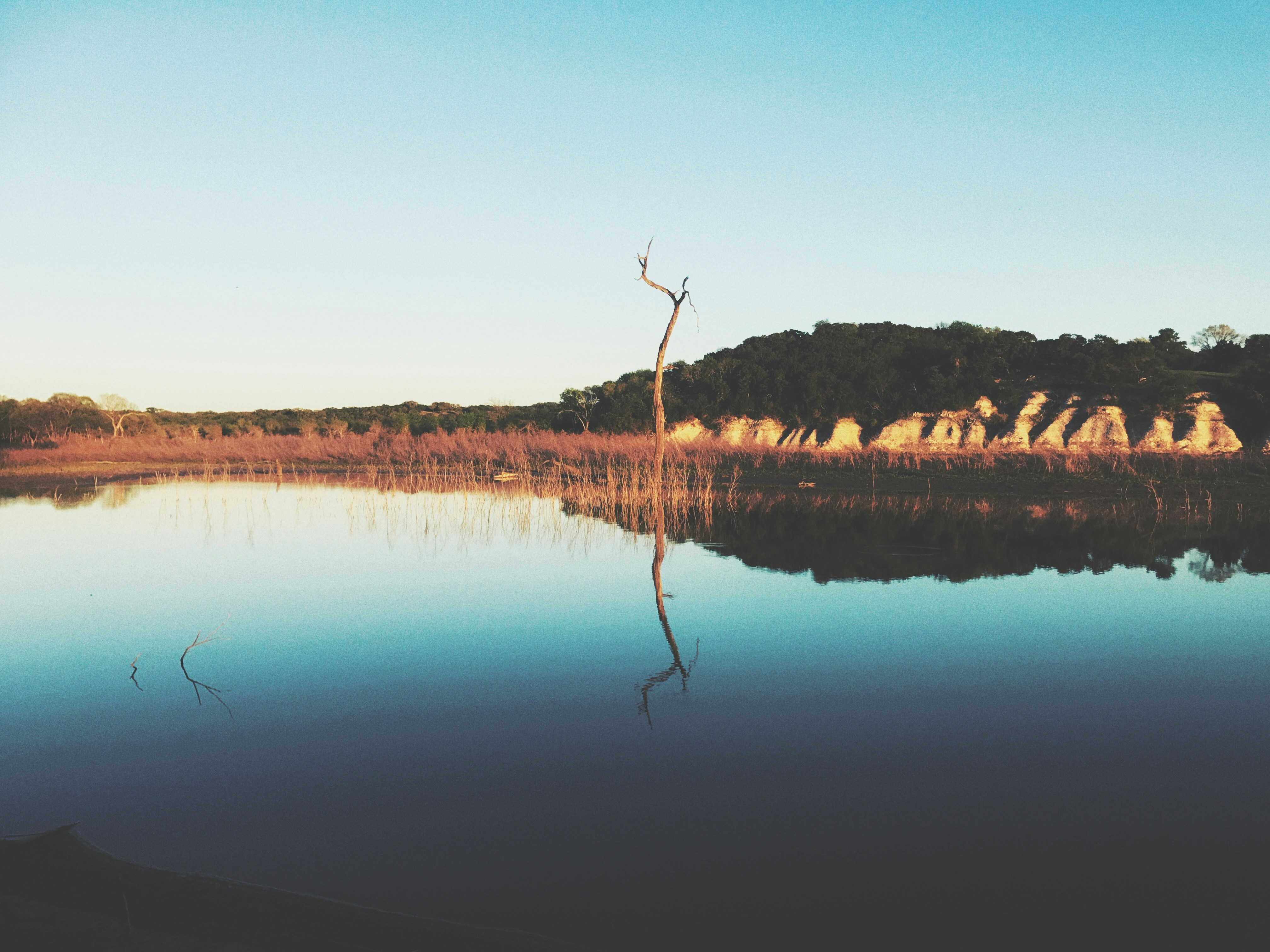 Free Unsplash photo from Taylor Castleberry