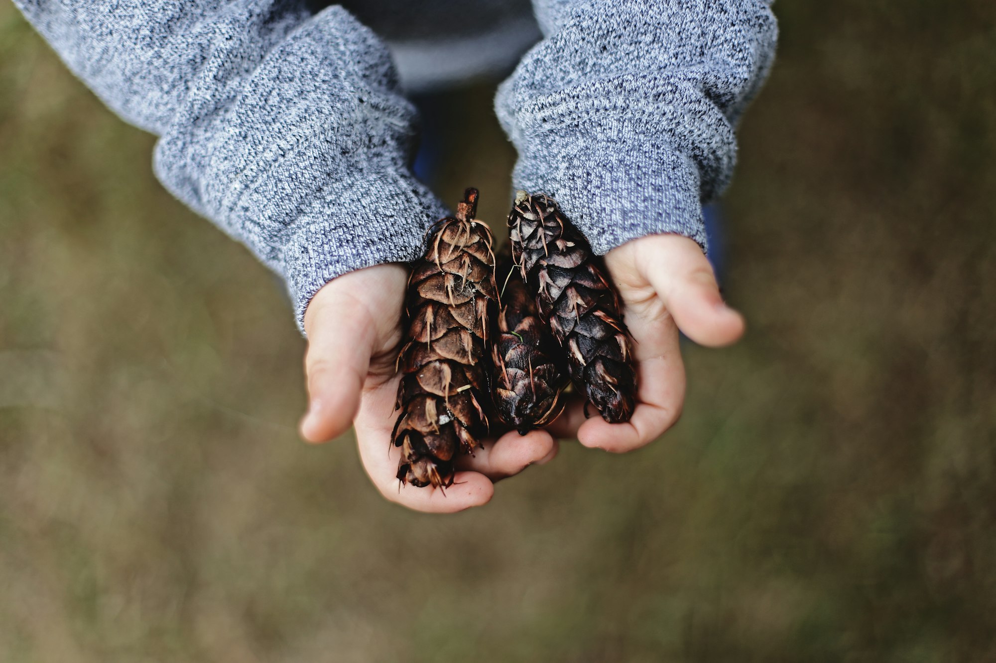 Image d'un enfant en pull gris tenant trois pommes de pain