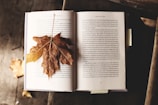 brown maple leaf on open book