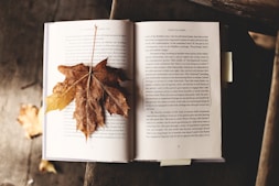 brown maple leaf on open book