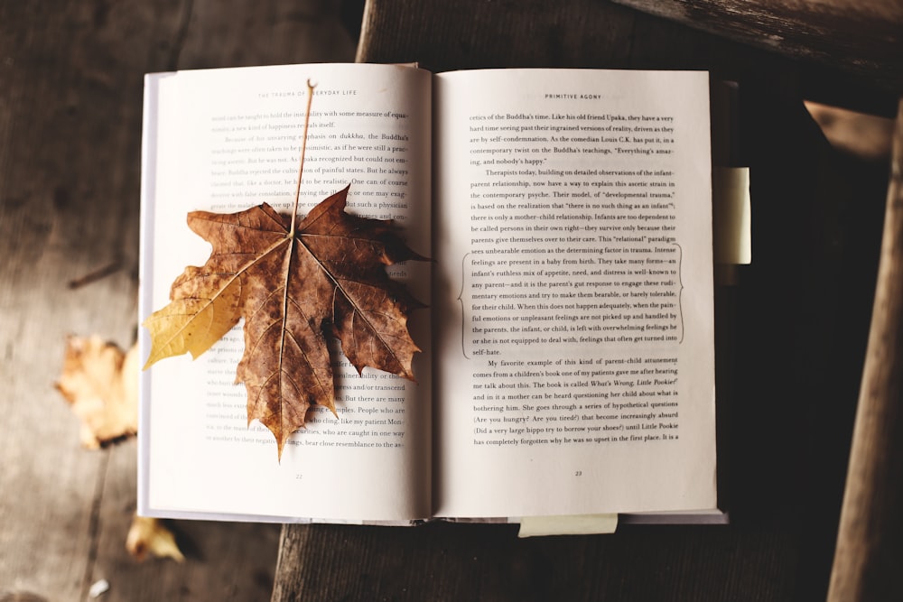brown maple leaf on open book