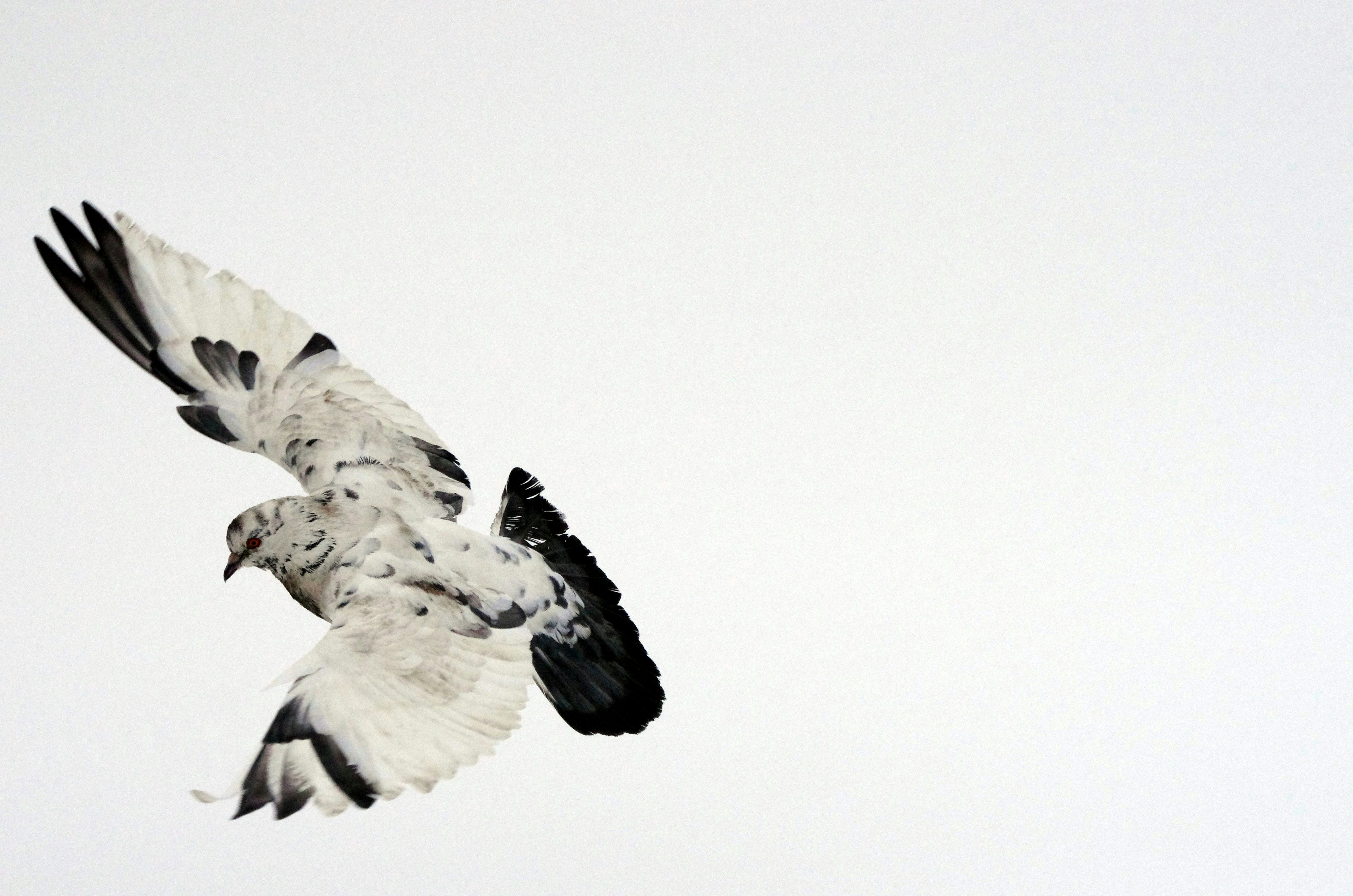 Free Unsplash photo from Иван Сологуб