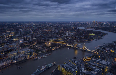 aerial photography of city buildings
